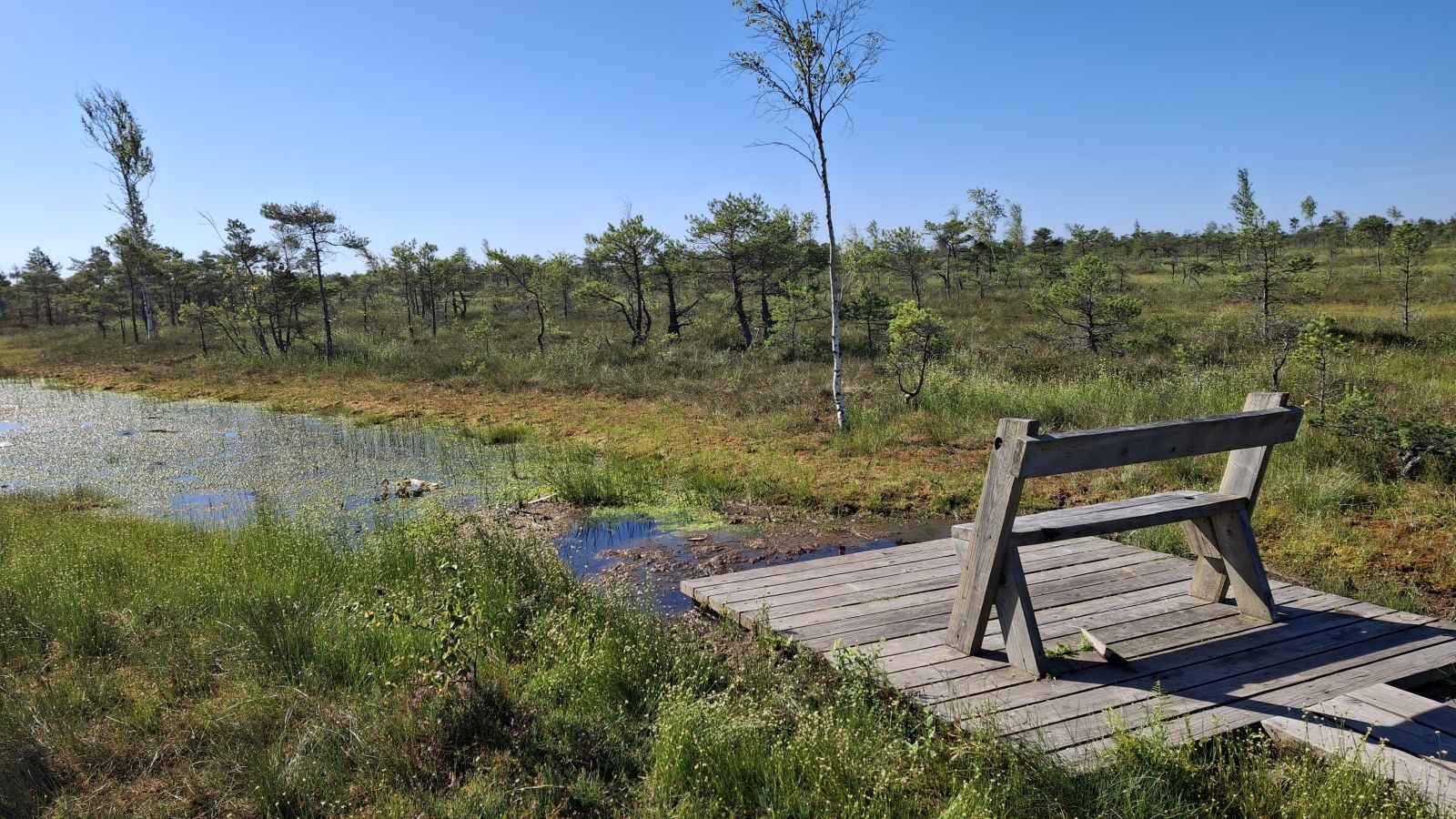 Baltik, Skandinavija 2025 (38) Baltik, Skandinavija 2025 (38)