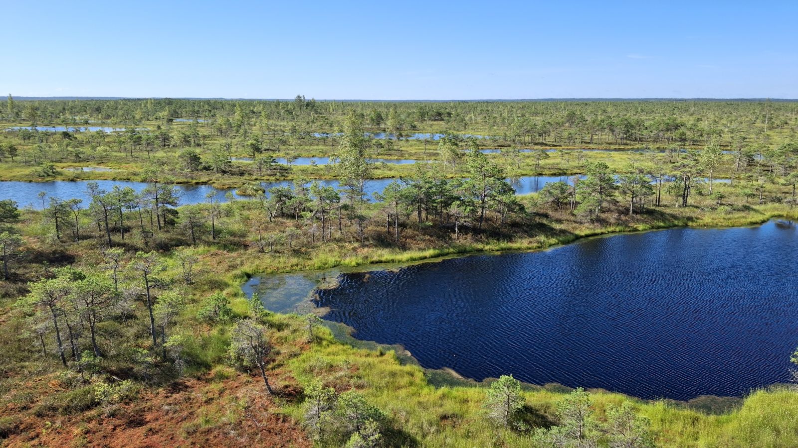 Baltik, Skandinavija 2025 (39) Baltik, Skandinavija 2025 (39)