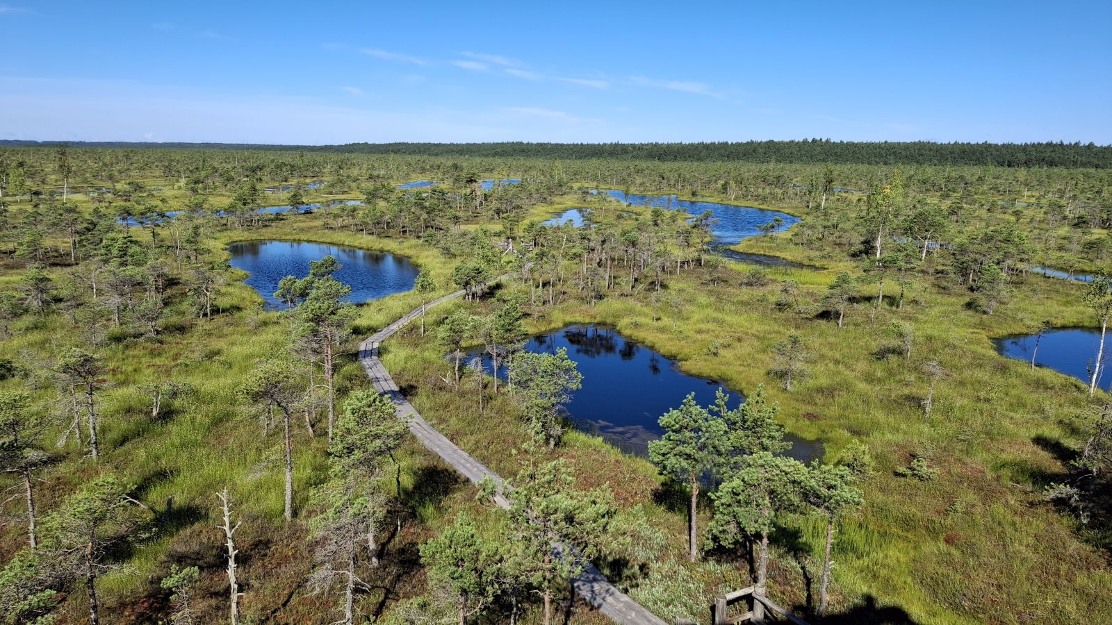 Baltik, Skandinavija 2025 (40) Baltik, Skandinavija 2025 (40)