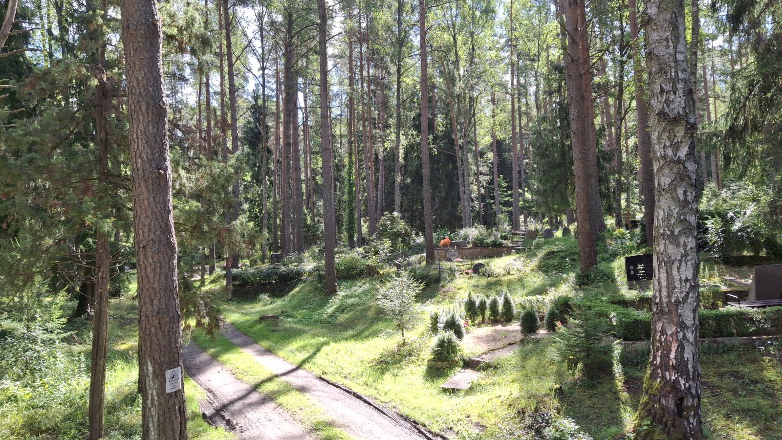 Baltik, Skandinavija 2025 (41) Baltik, Skandinavija 2025 (41)