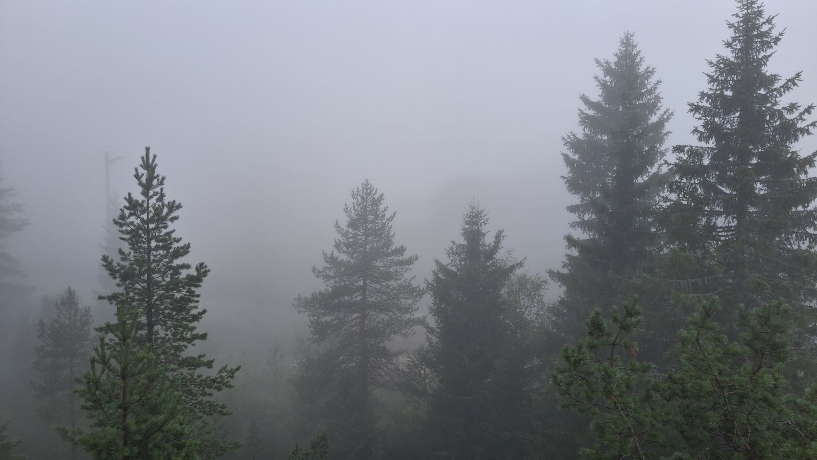 Baltik, Skandinavija 2025 (68) Baltik, Skandinavija 2025 (68)