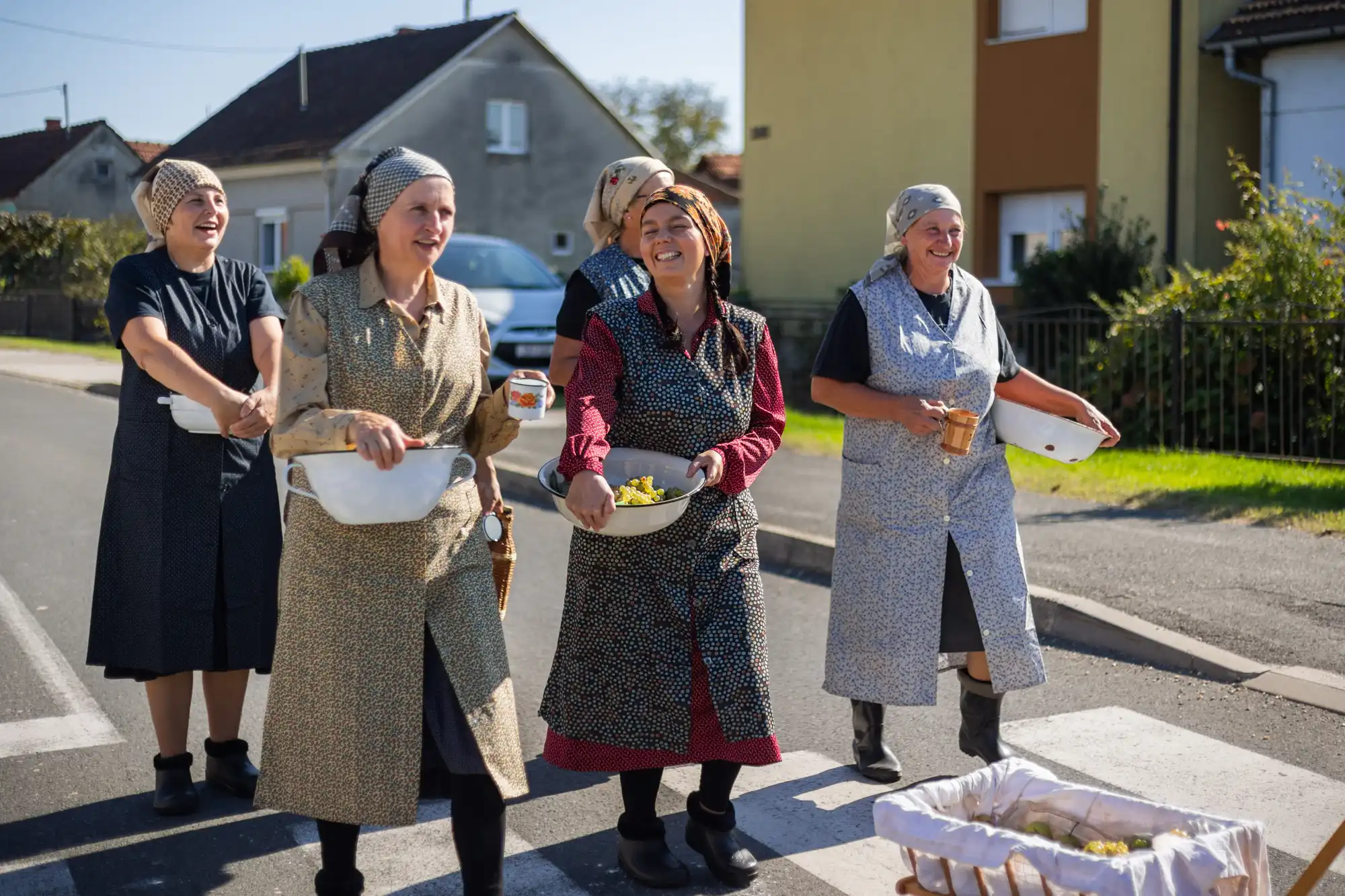 Berba – Mursko Središće (14) Berba – Mursko Središće (14)