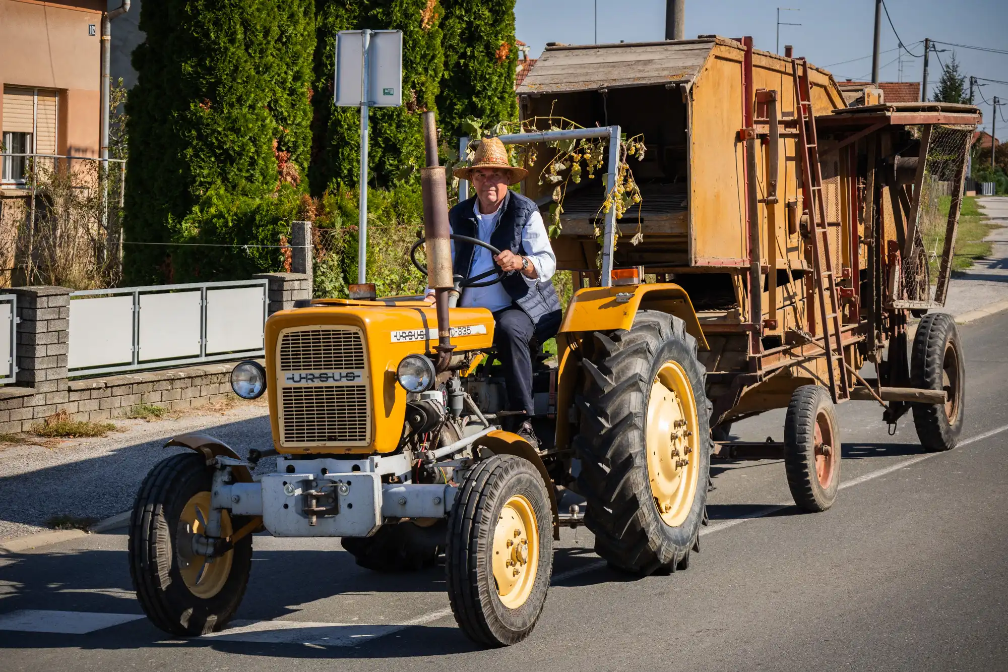 Berba – Mursko Središće (15) Berba – Mursko Središće (15)