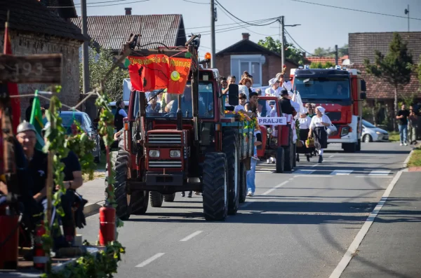 Berba – Mursko Središće (17)