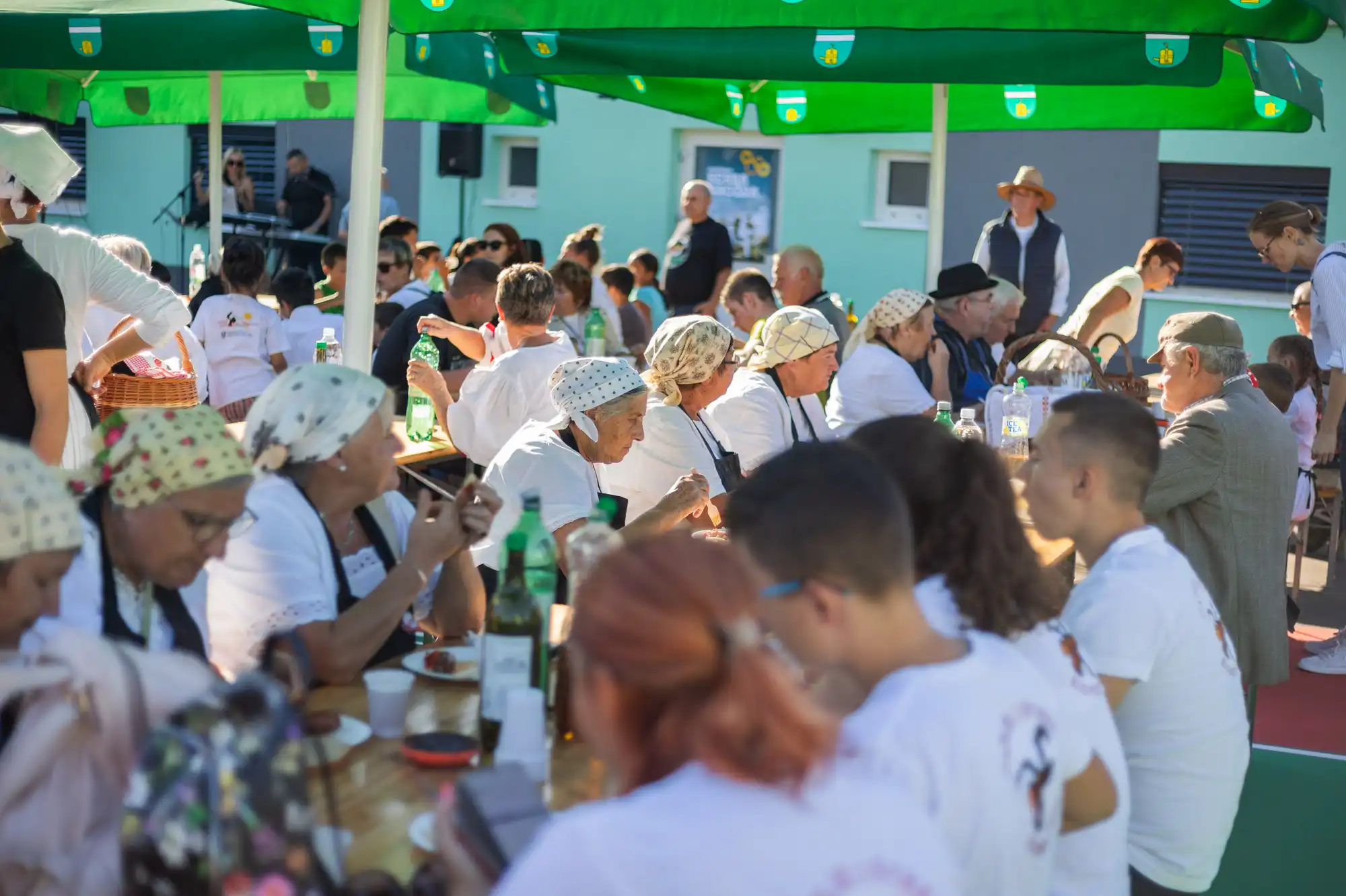 Berba – Mursko Središće (29) Berba – Mursko Središće (29)