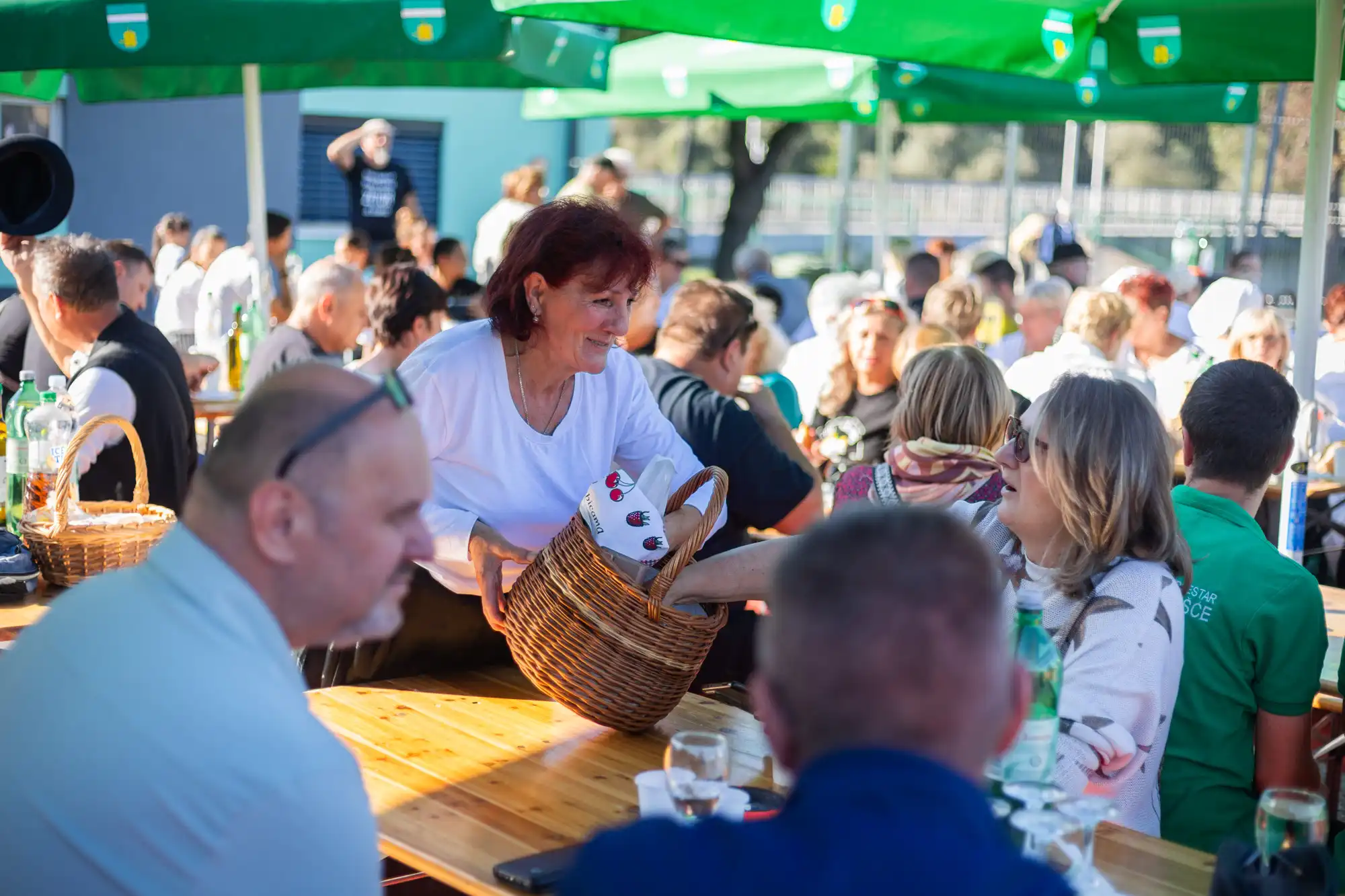 Berba – Mursko Središće (31) Berba – Mursko Središće (31)