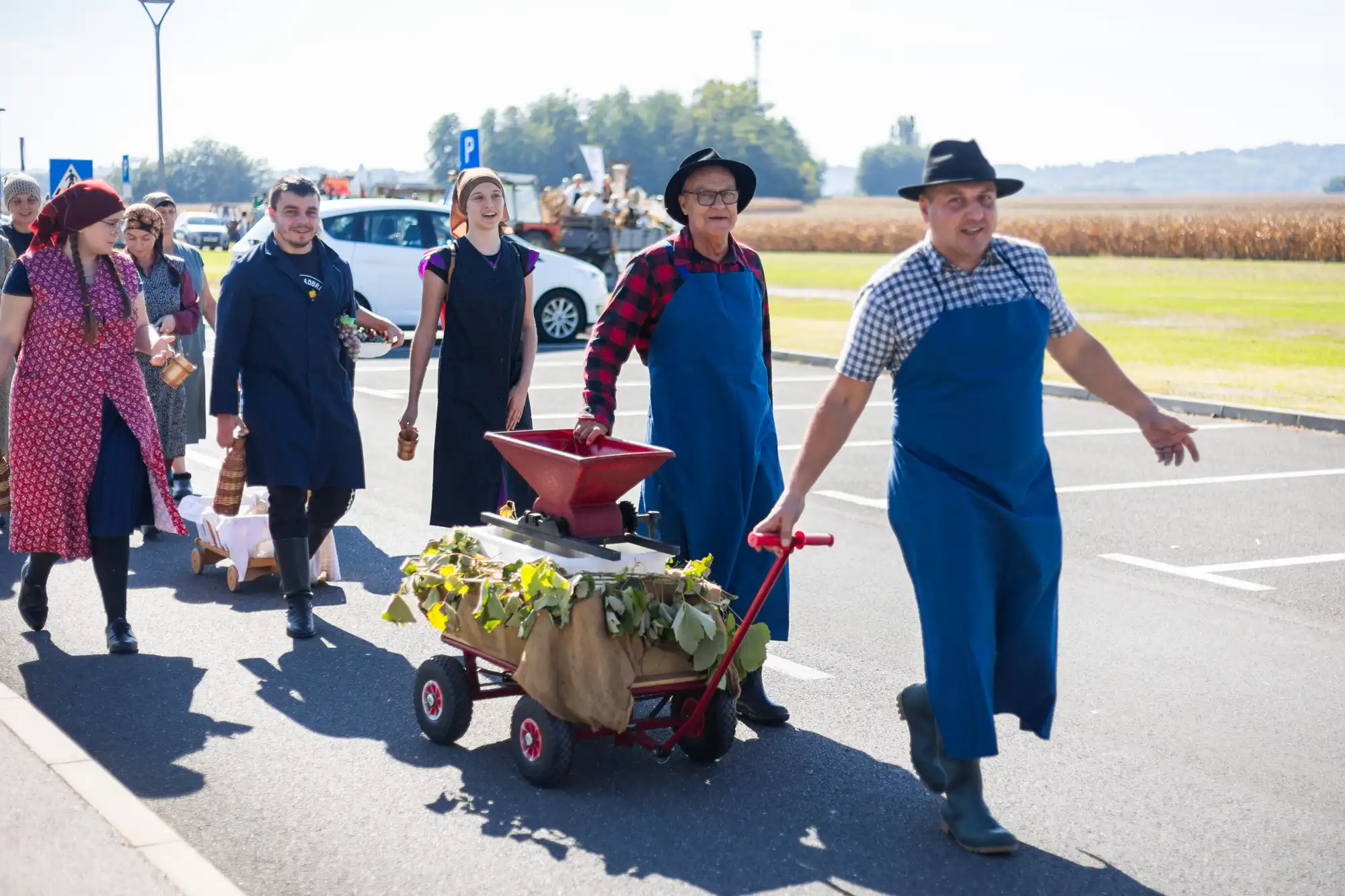Berba – Mursko Središće (7) Berba – Mursko Središće (7)