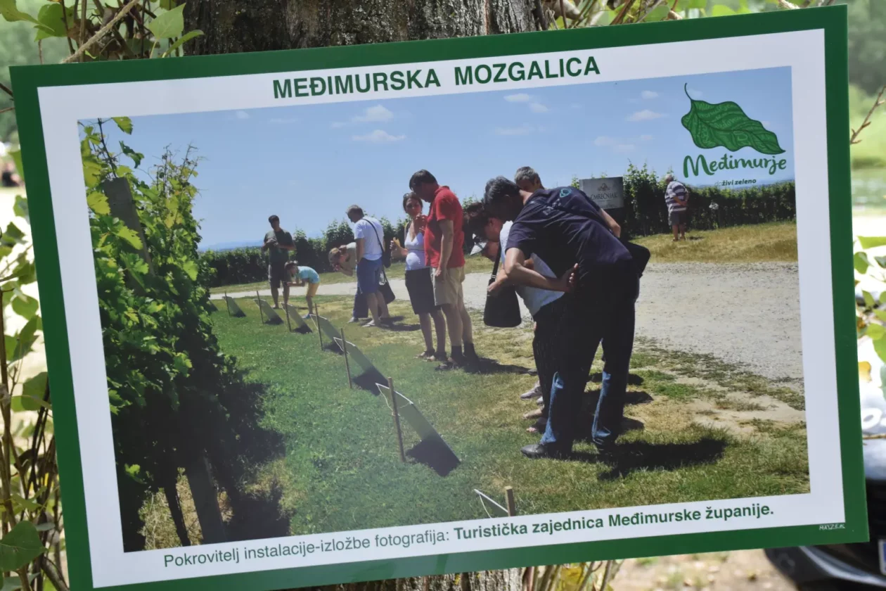 Big Jump Sveta Marija 13.7.2025 (35)