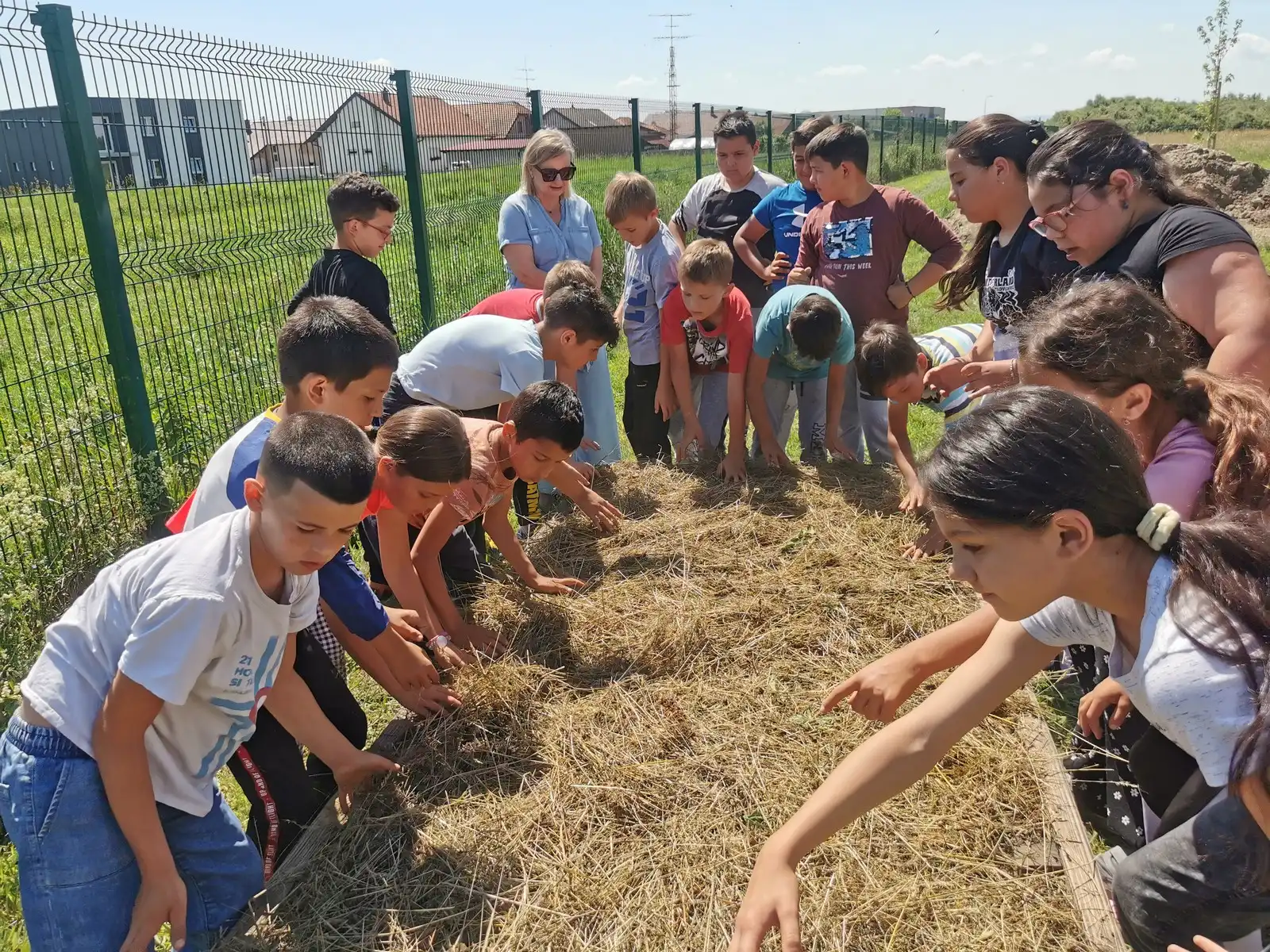 Biovrt školski vrt Pribislavec (1) Biovrt školski vrt Pribislavec (1)