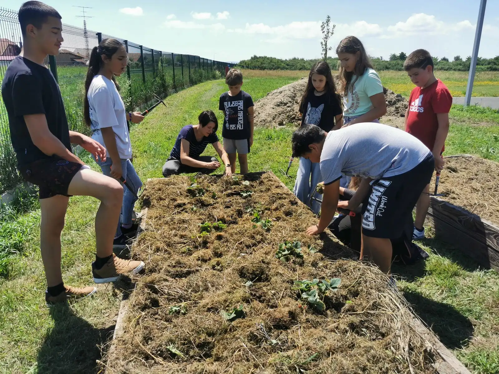 Biovrt školski vrt Pribislavec (3) Biovrt školski vrt Pribislavec (3)