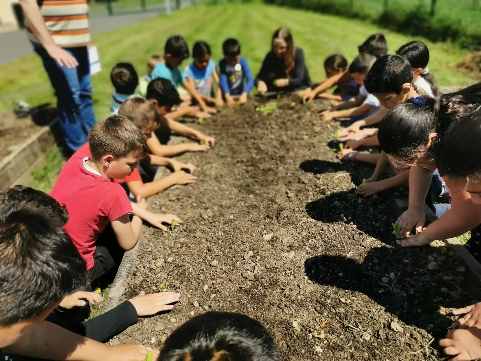 Biovrt školski vrt Pribislavec (8) Biovrt školski vrt Pribislavec (8)