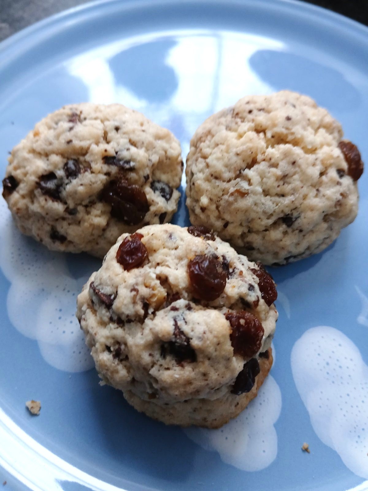 Biserka Sutnjak krašuljci (2)