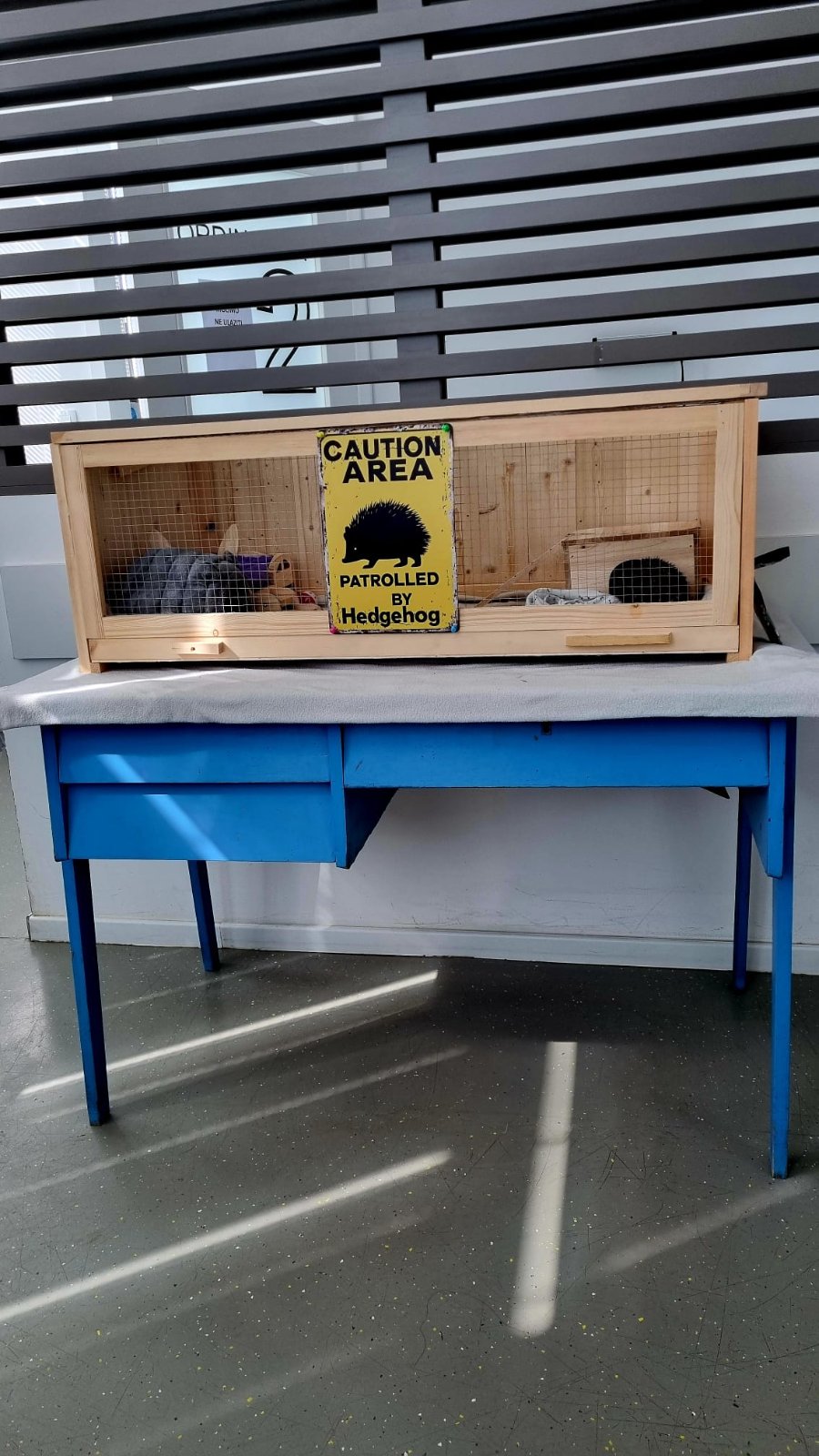 Bocka, Veterinarska stanica Prelog, jež (5)