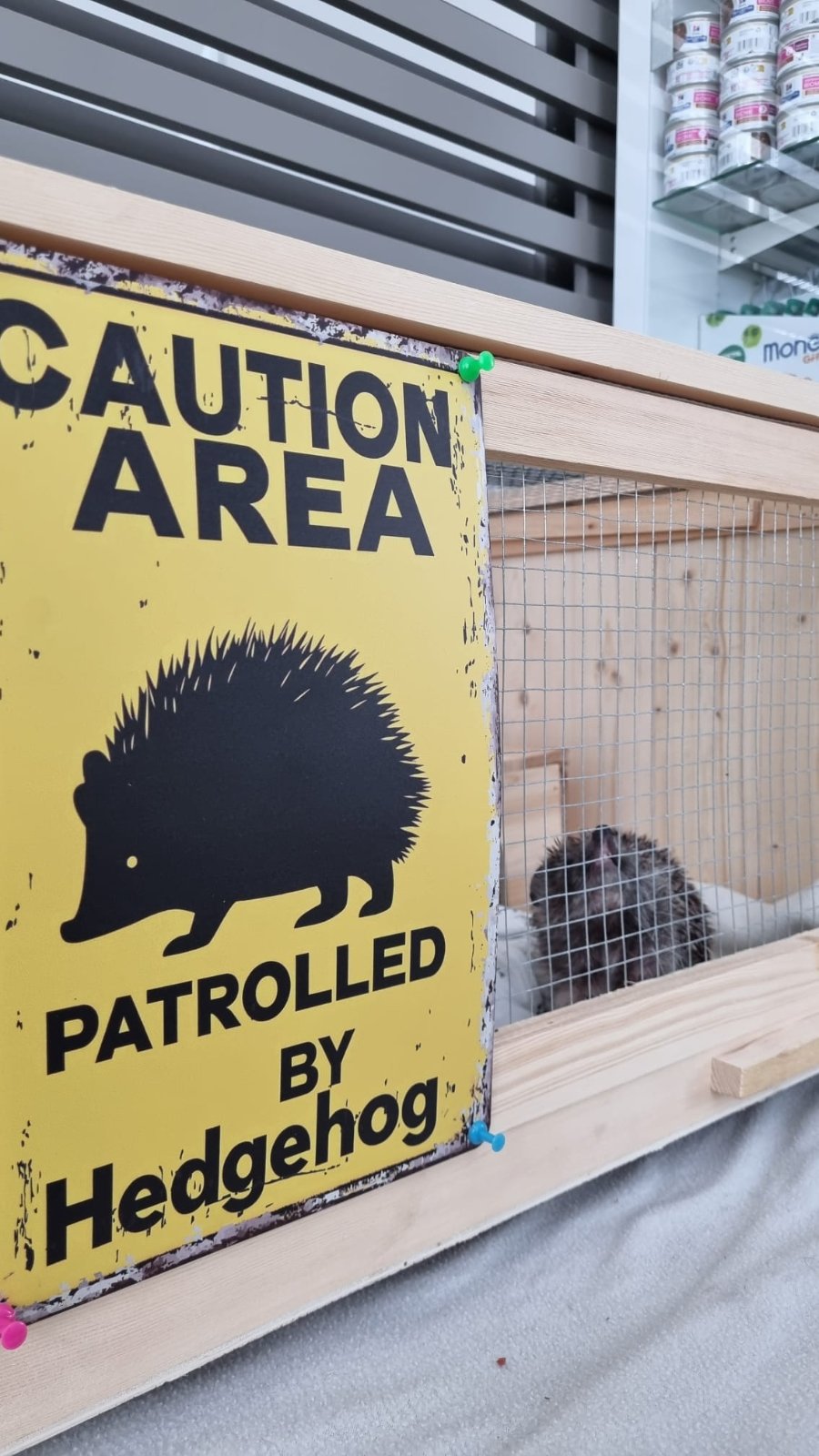 Bocka, Veterinarska stanica Prelog, jež (6)