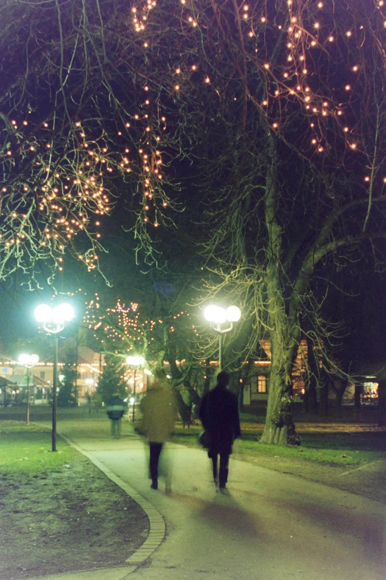 Bojan Damiš, Božić2003 (10) Bojan Damiš, Božić2003 (10)