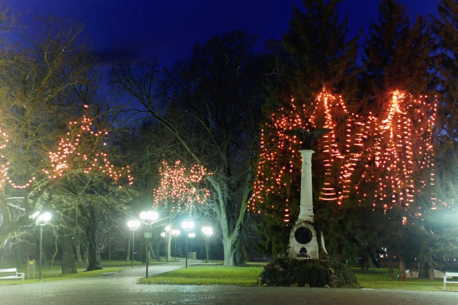 Bojan Damiš, Božić2003 (13) Bojan Damiš, Božić2003 (13)