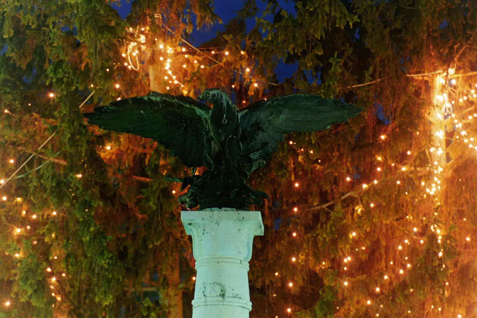 Bojan Damiš, Božić2003 (24) Bojan Damiš, Božić2003 (24)