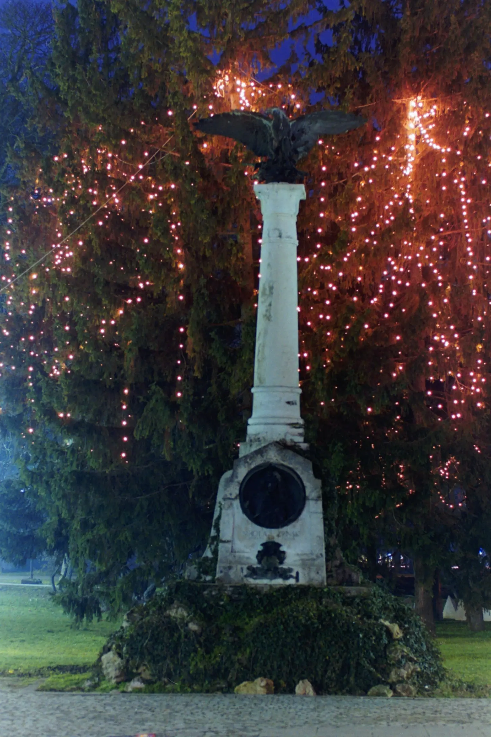 Bojan Damiš, Božić2003 (25) Bojan Damiš, Božić2003 (25)