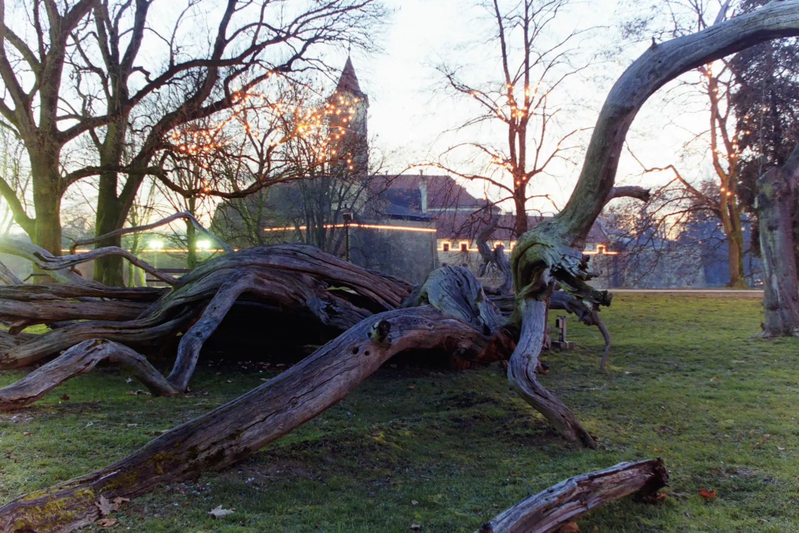 Bojan Damiš, Božić2003 (5) Bojan Damiš, Božić2003 (5)