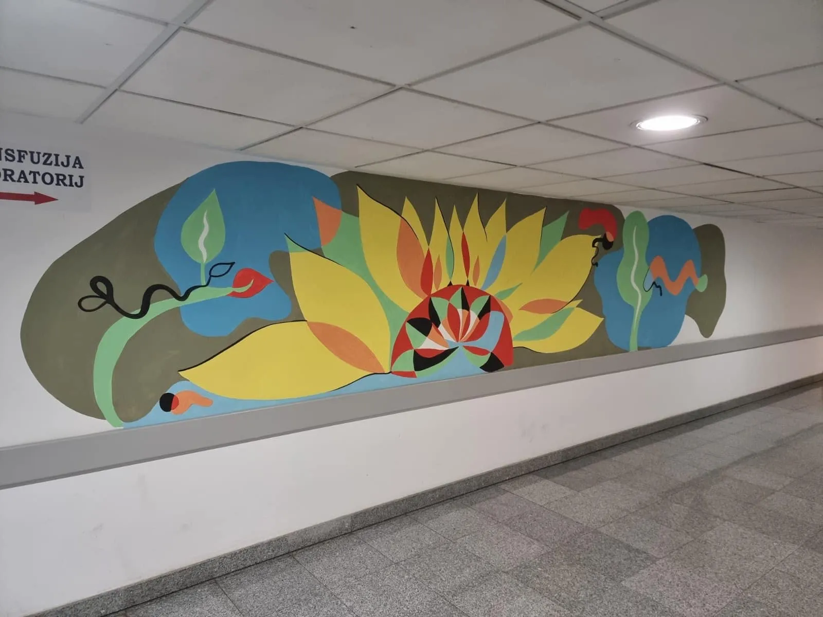 Bolnica – Gospodarska škola Čakovec (13)