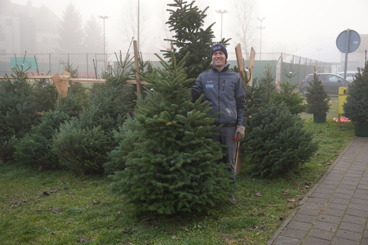 Bor jelka smreka prodaja (10) Bor jelka smreka prodaja (10)