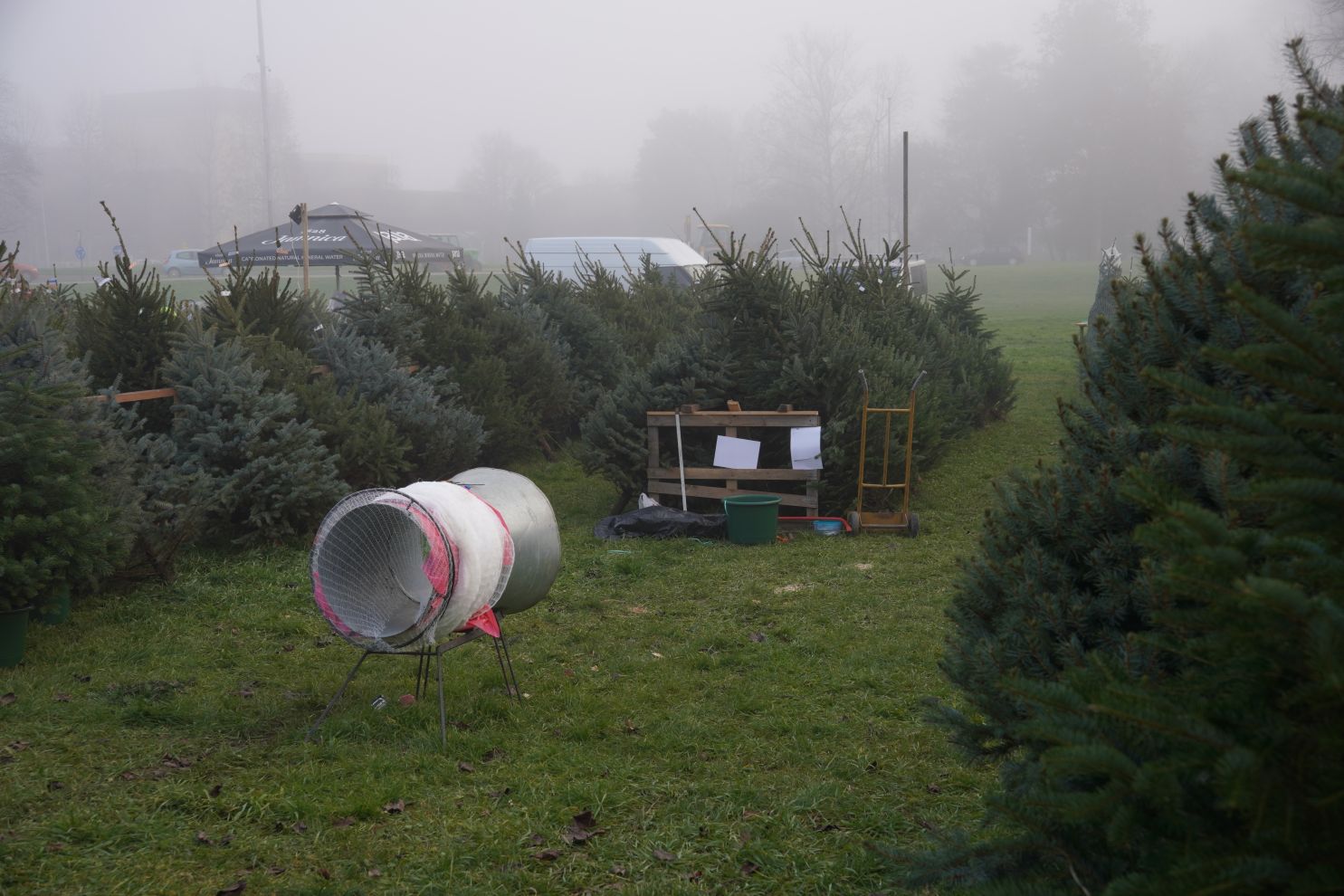 Bor jelka smreka prodaja (8) Bor jelka smreka prodaja (8)