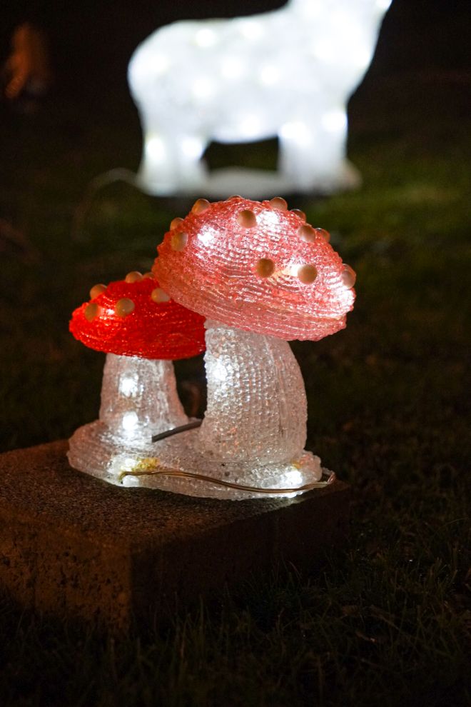 Božić ukrasi obitelj Šavora Ivanovec lampice djed mraz snjegović sob (26)