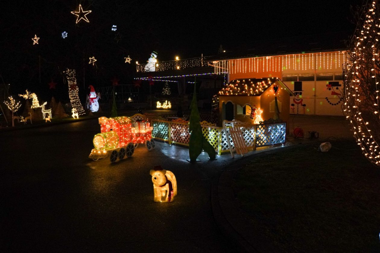 Božić ukrasi obitelj Šavora Ivanovec lampice djed mraz snjegović sob (29)