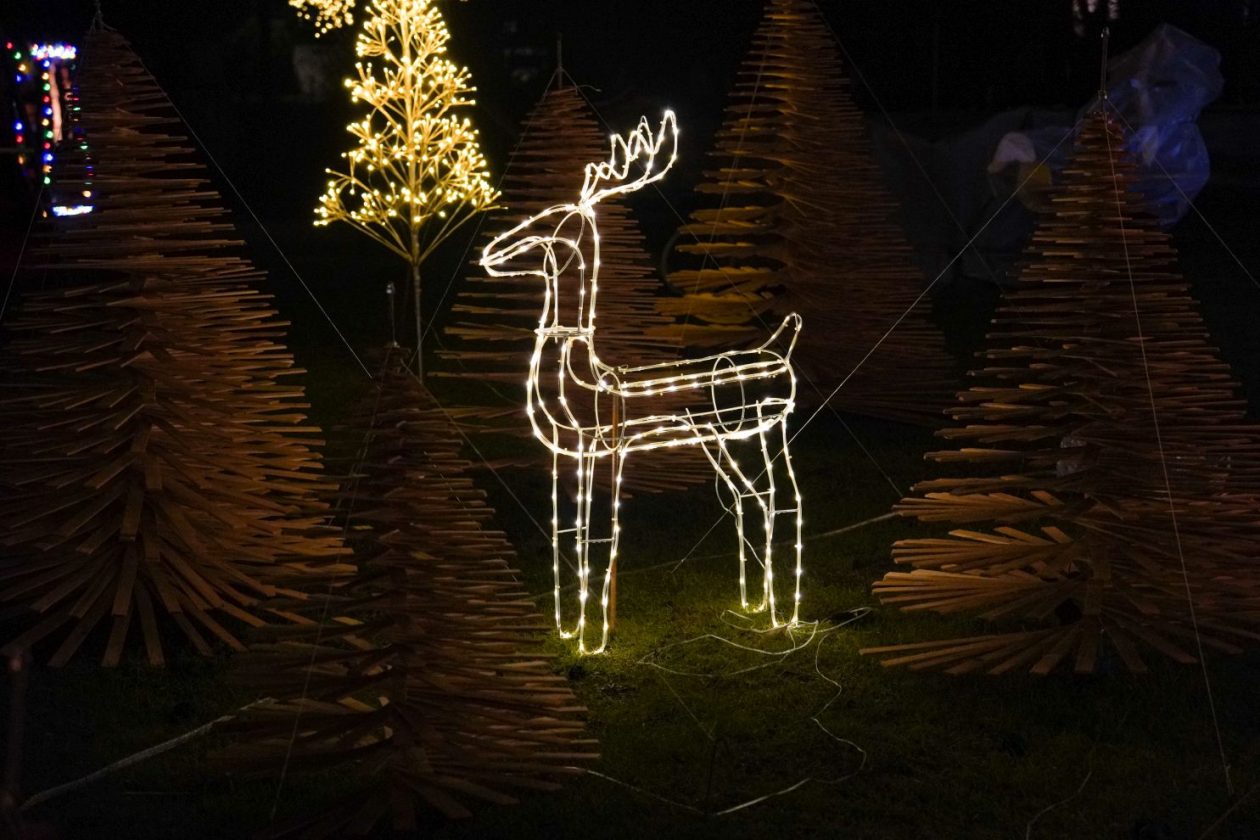 Božić ukrasi obitelj Šavora Ivanovec lampice djed mraz snjegović sob (37)