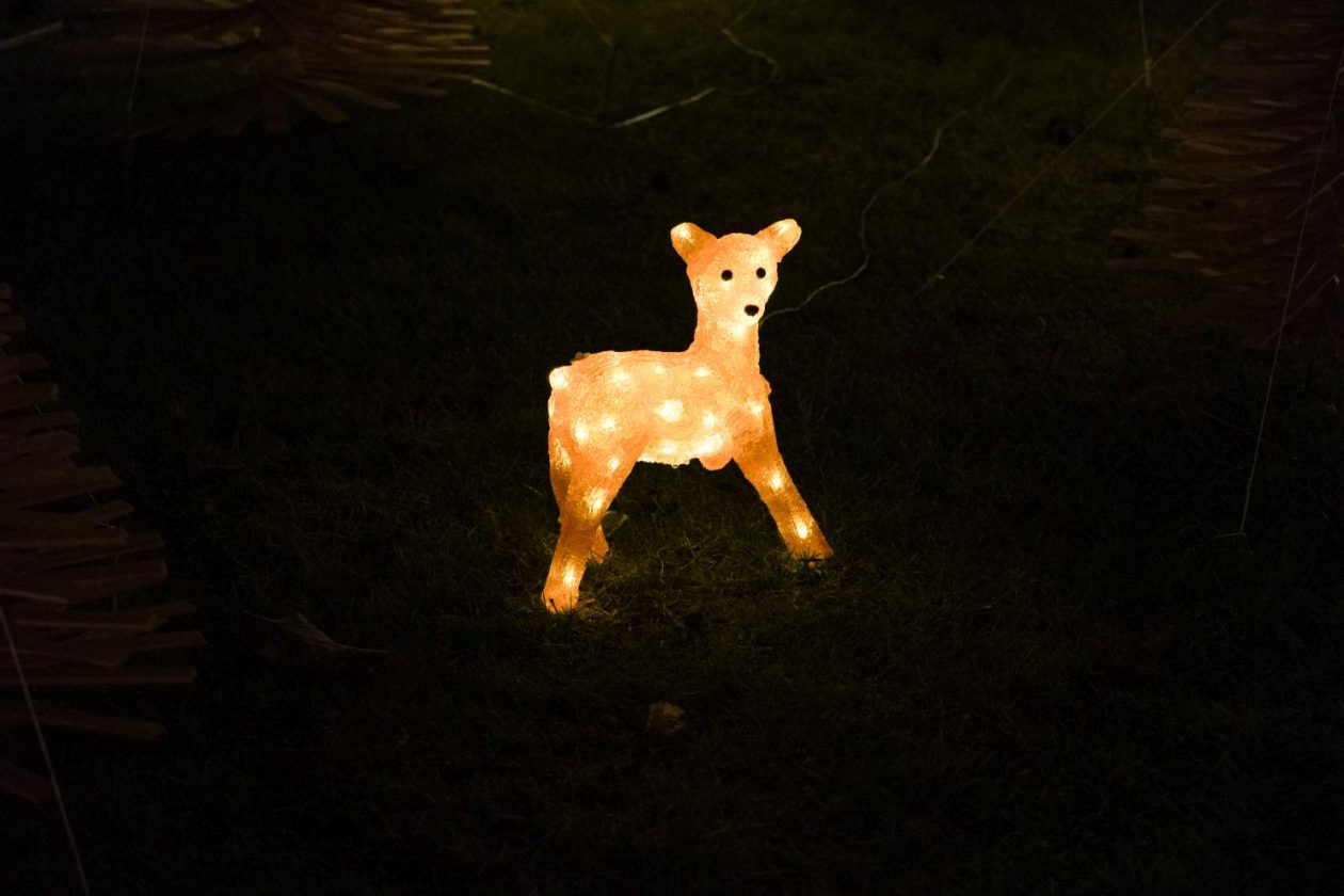 Božić ukrasi obitelj Šavora Ivanovec lampice djed mraz snjegović sob (38)