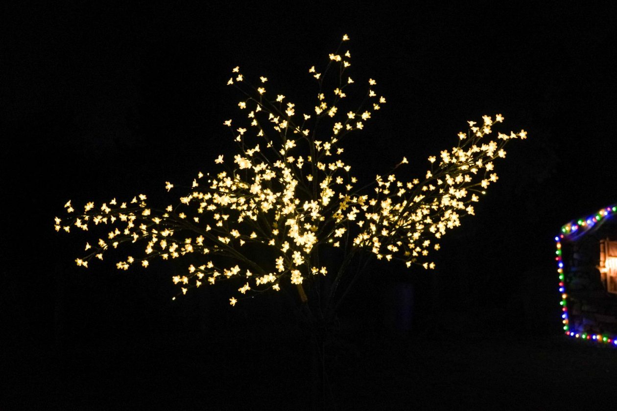 Božić ukrasi obitelj Šavora Ivanovec lampice djed mraz snjegović sob (42)