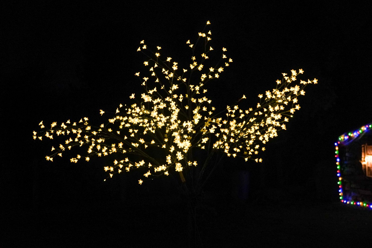 Božić ukrasi obitelj Šavora Ivanovec lampice djed mraz snjegović sob (42)