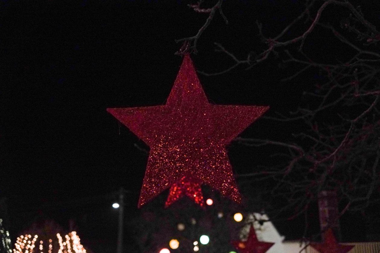 Božić ukrasi obitelj Šavora Ivanovec lampice djed mraz snjegović sob (44)