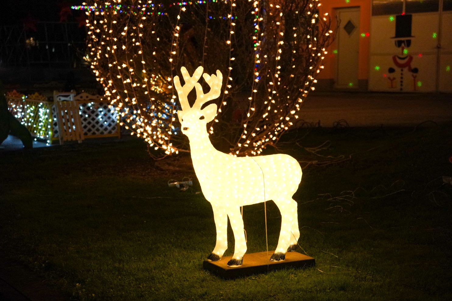 Božić ukrasi obitelj Šavora Ivanovec lampice djed mraz snjegović sob (8)