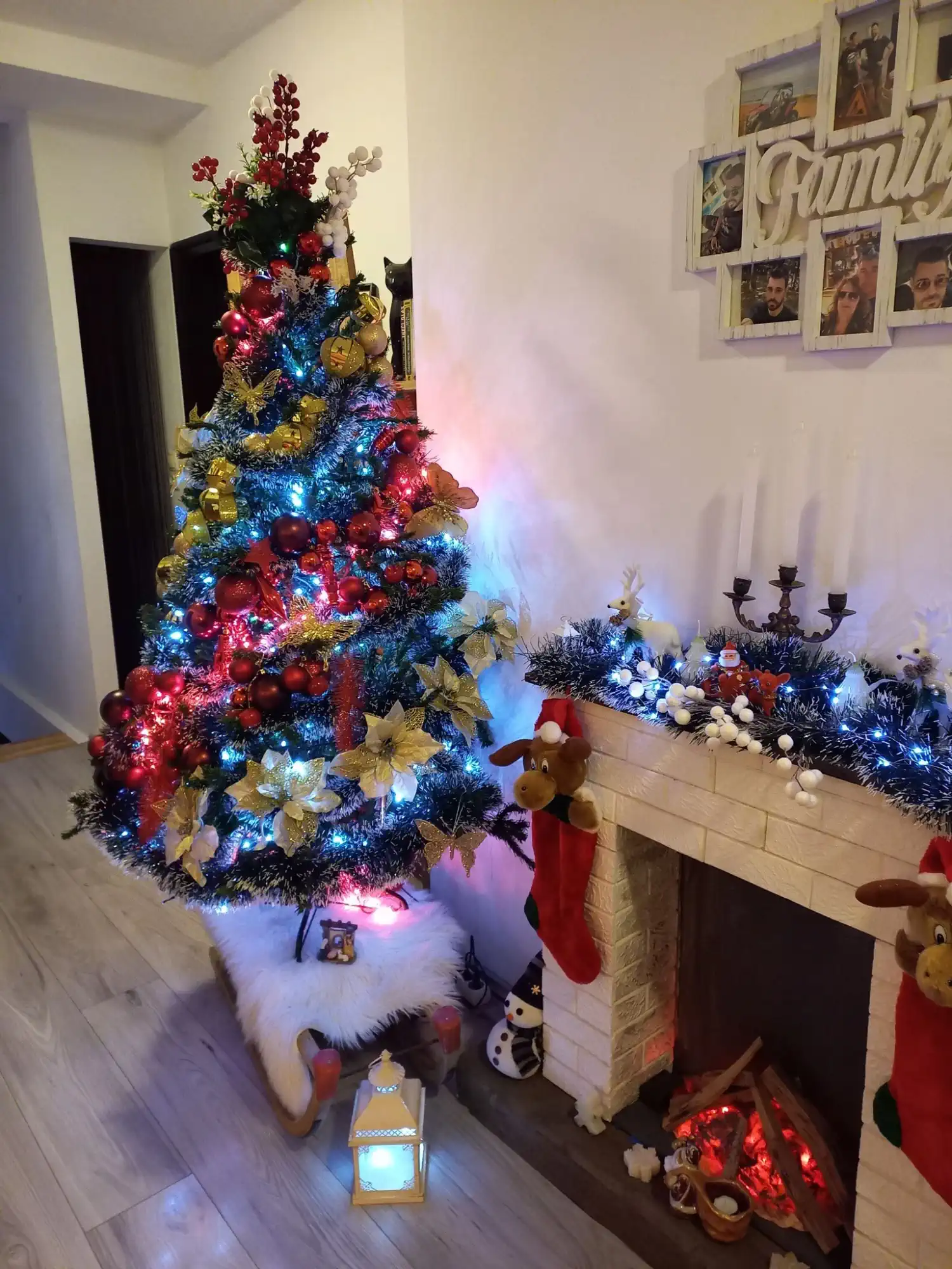 Božićna drvca 2024 foto čitatelja (3)