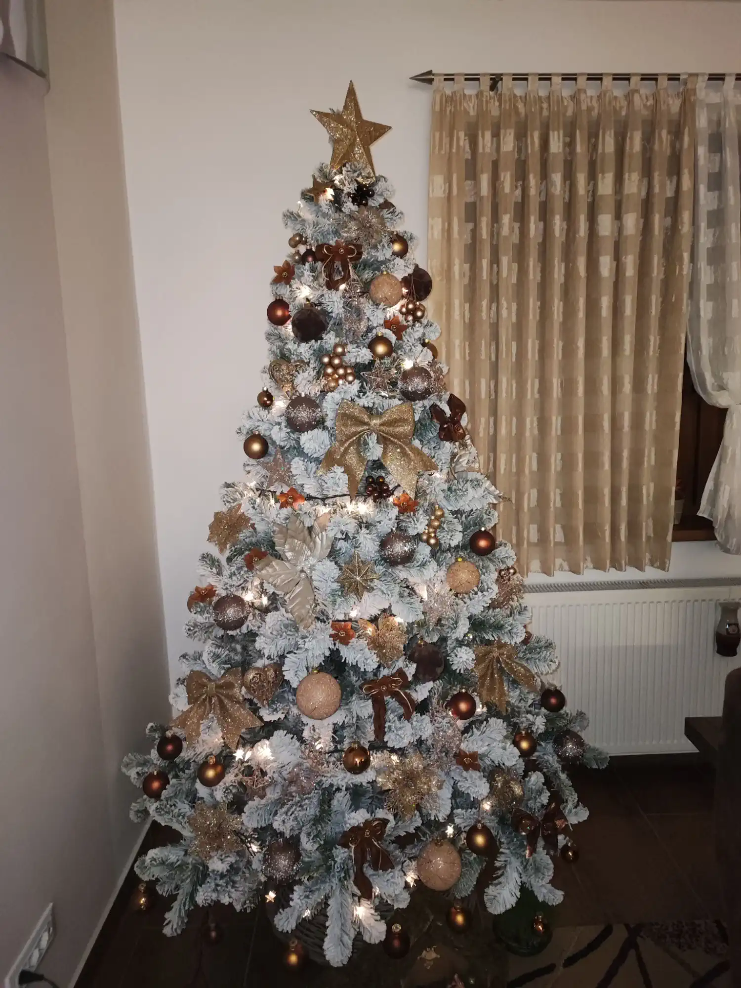 Božićna drvca 2024 foto čitatelja (8)