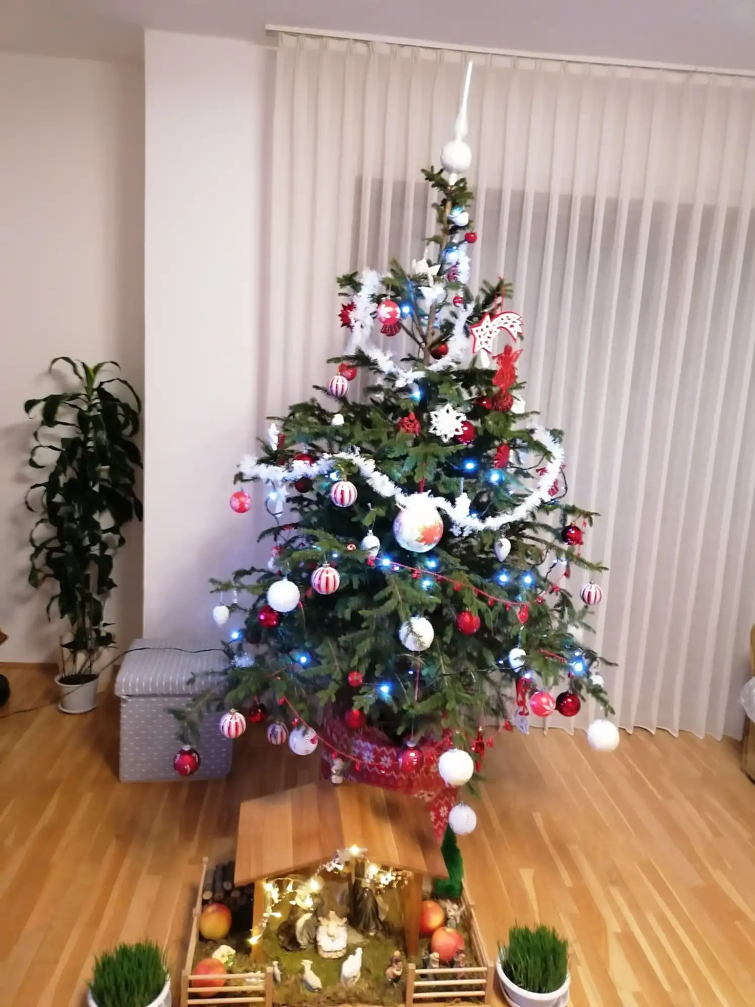 Božićna drvca 2024 foto čitatelja (9)