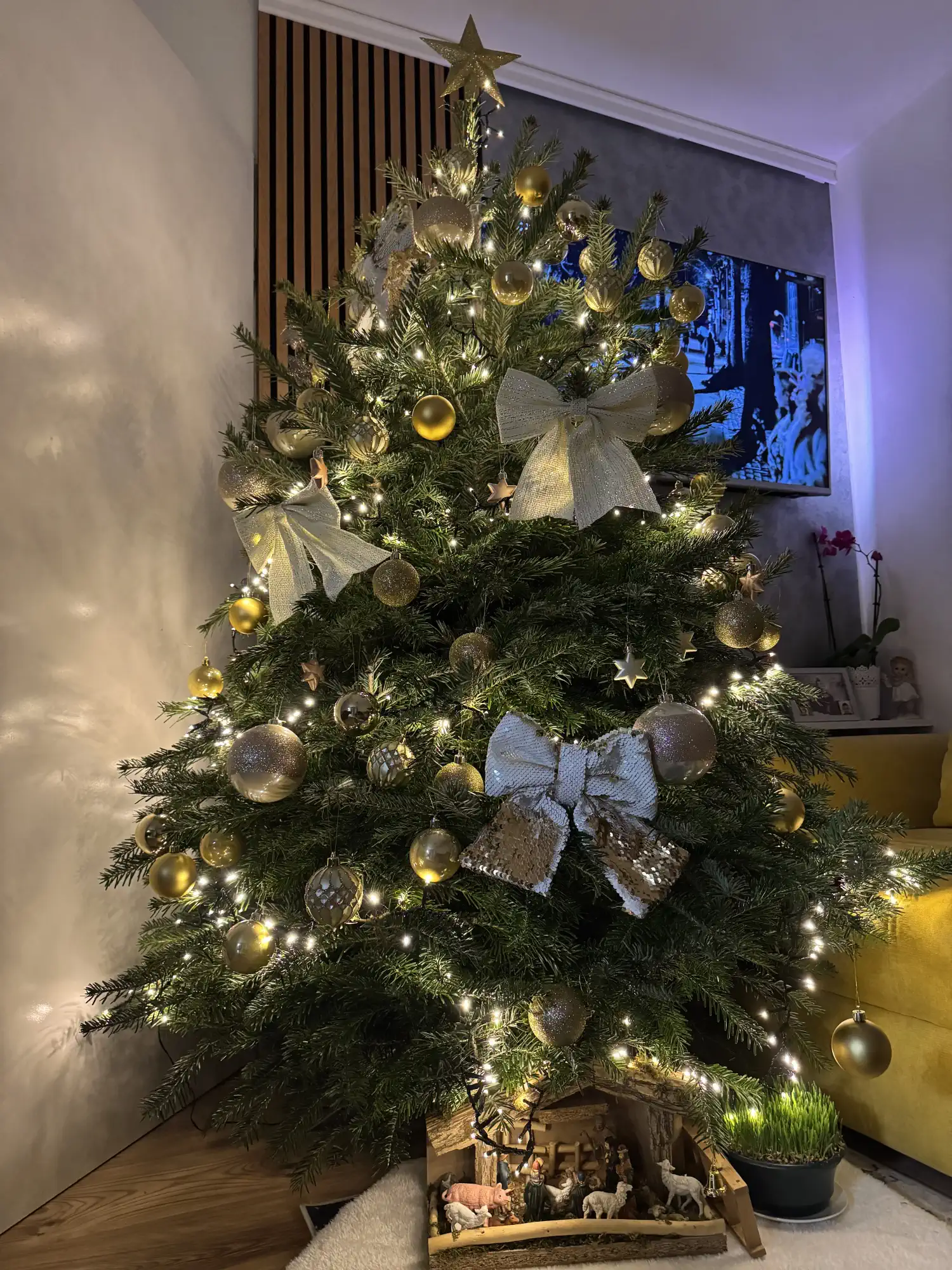 Božićna drvca i jelke 2024 foto čitatelja (1)