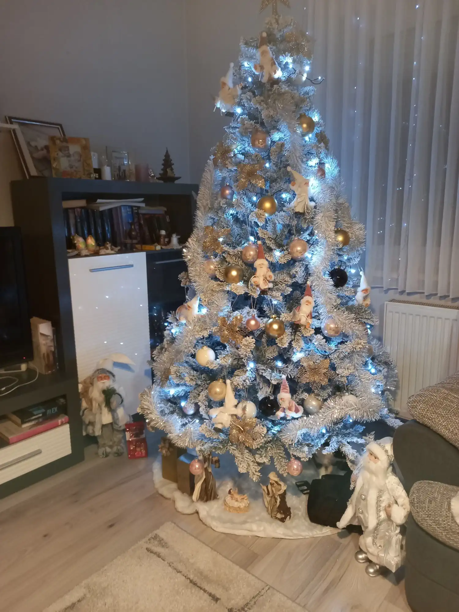 Božićna drvca i jelke 2024 foto čitatelja (101)