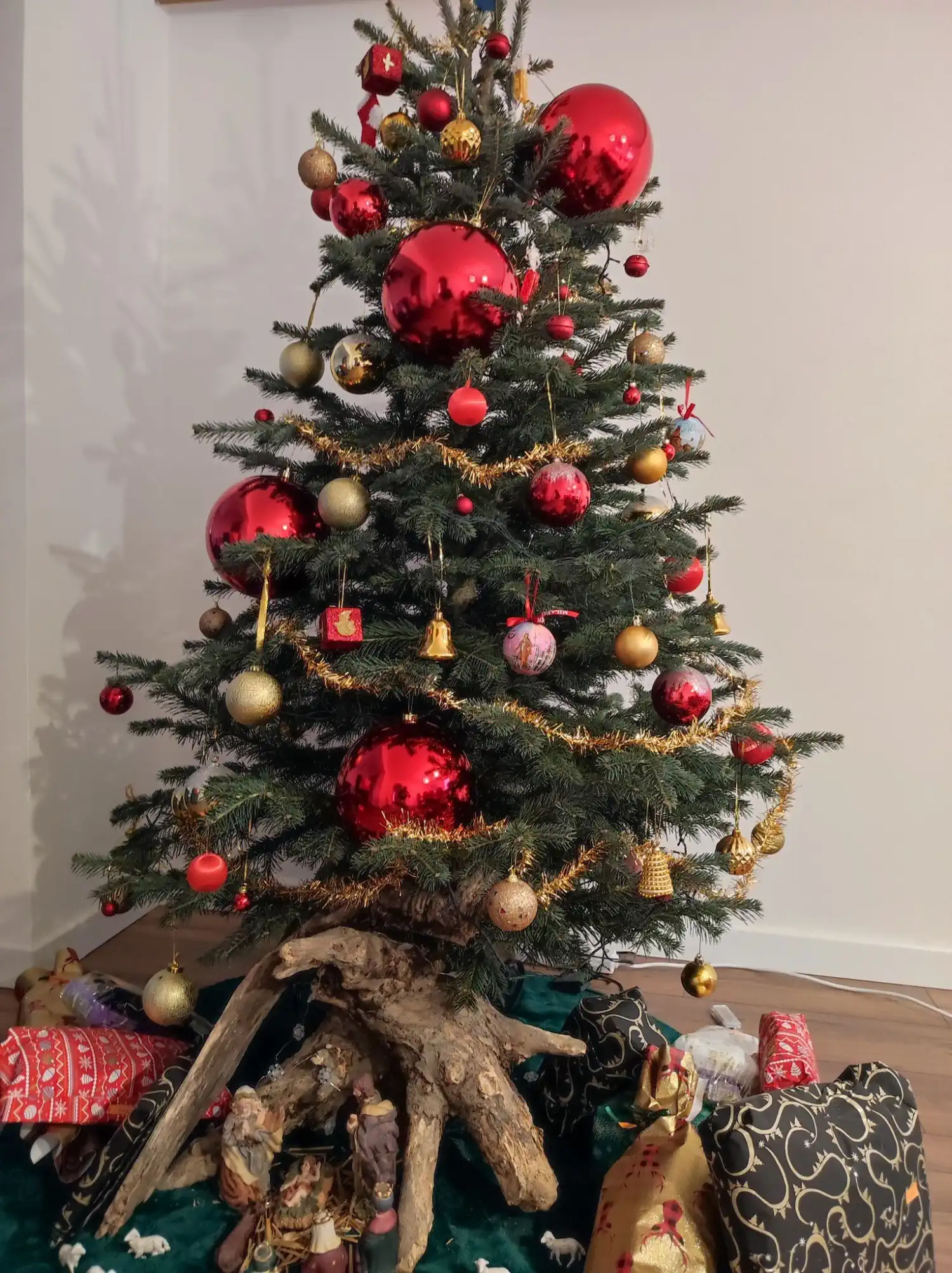 Božićna drvca i jelke 2024 foto čitatelja (103)