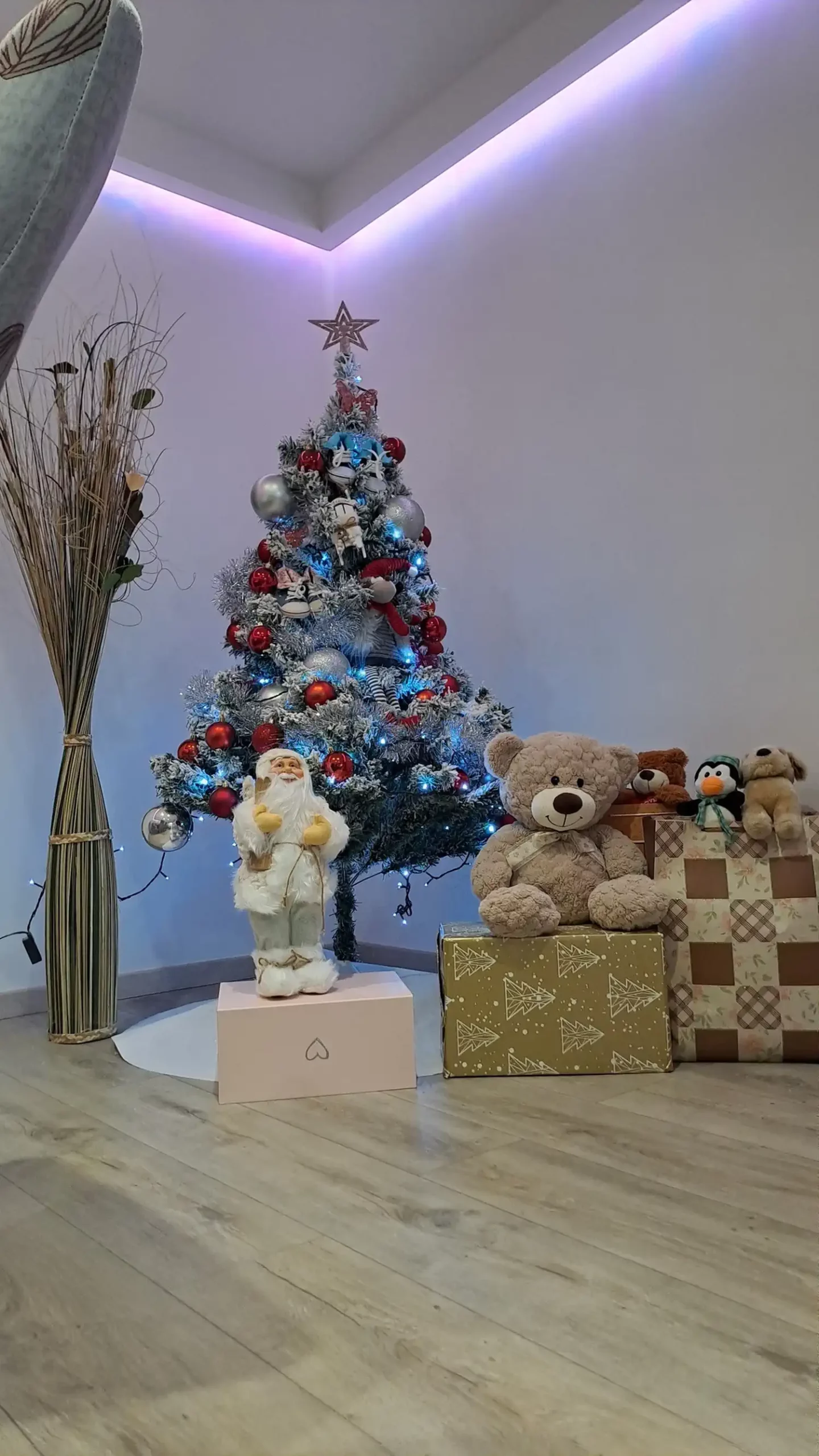 Božićna drvca i jelke 2024 foto čitatelja (104)