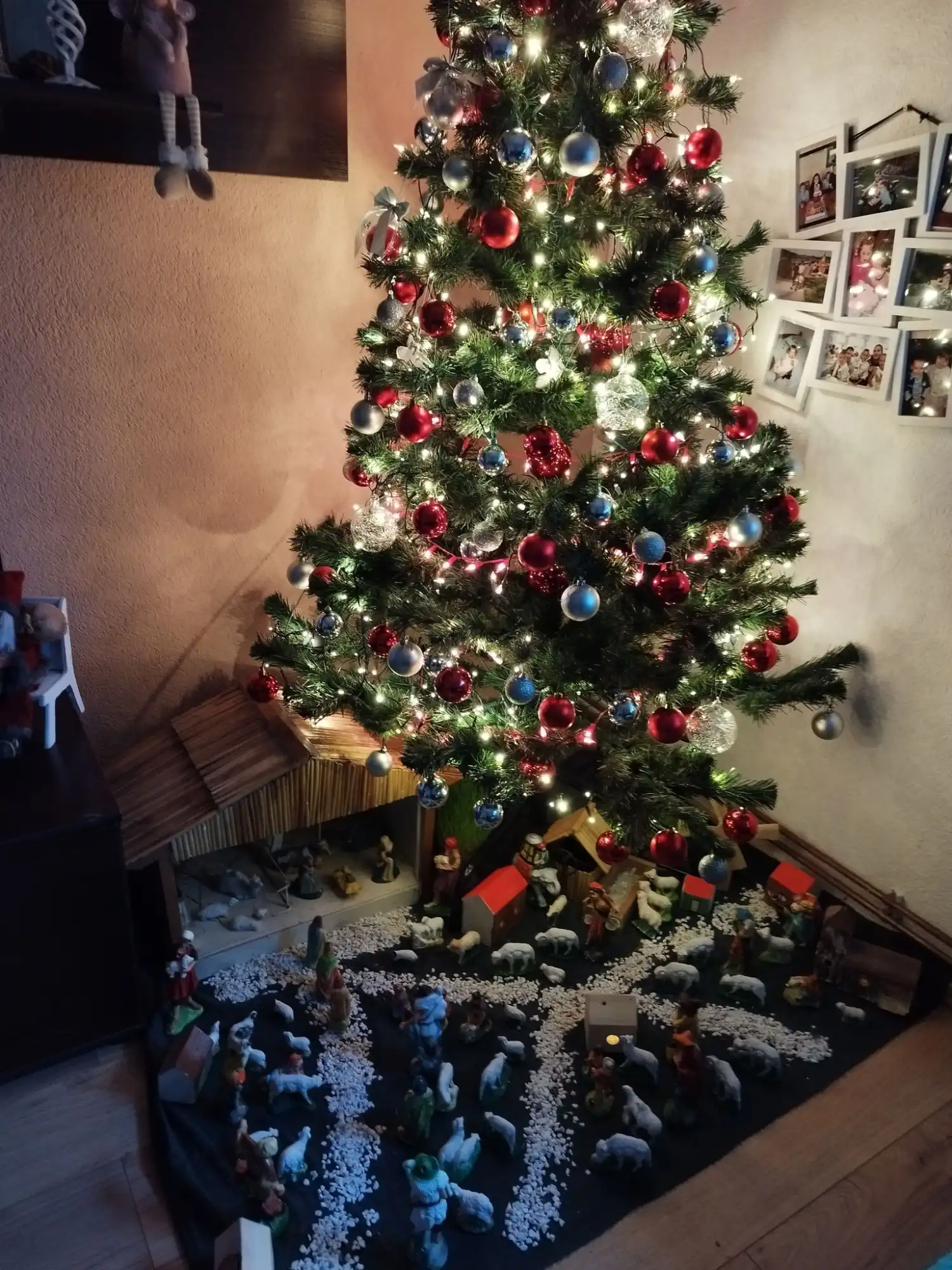 Božićna drvca i jelke 2024 foto čitatelja (105)