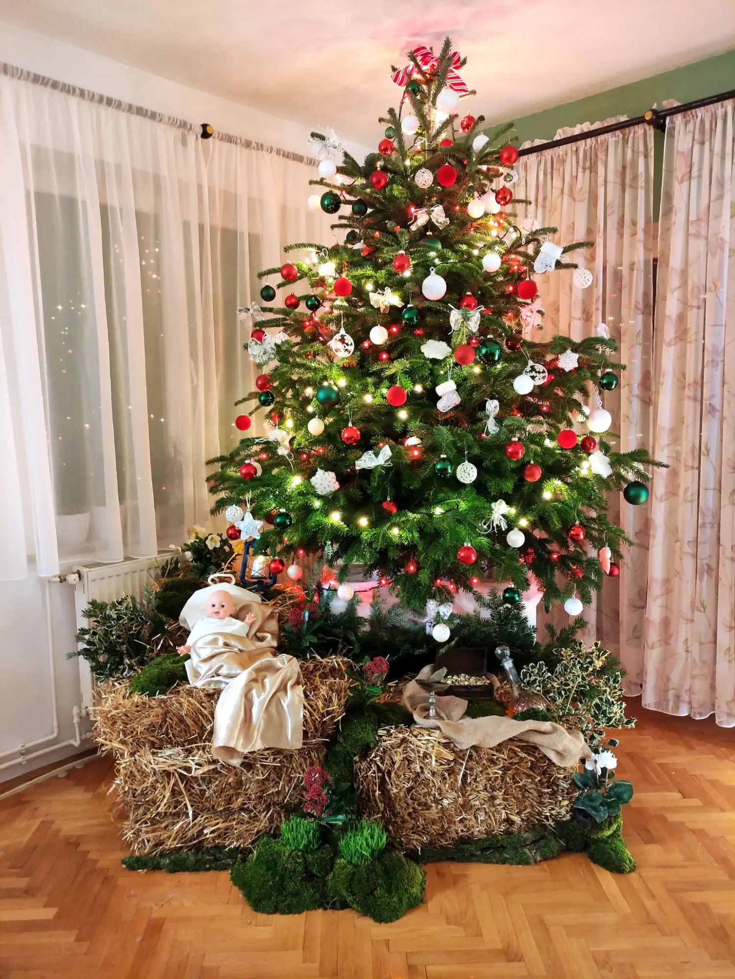 Božićna drvca i jelke 2024 foto čitatelja (11)