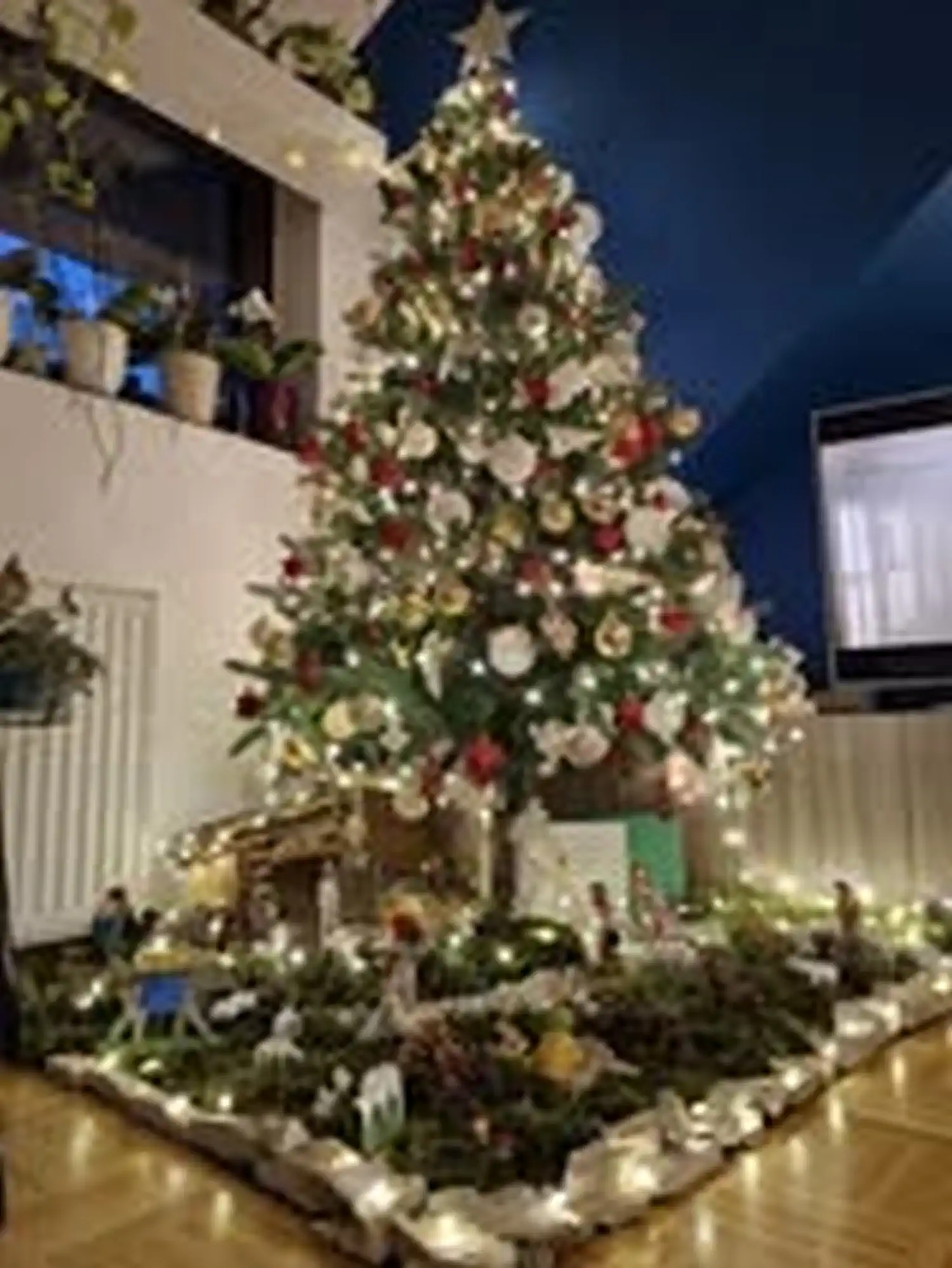 Božićna drvca i jelke 2024 foto čitatelja (12)