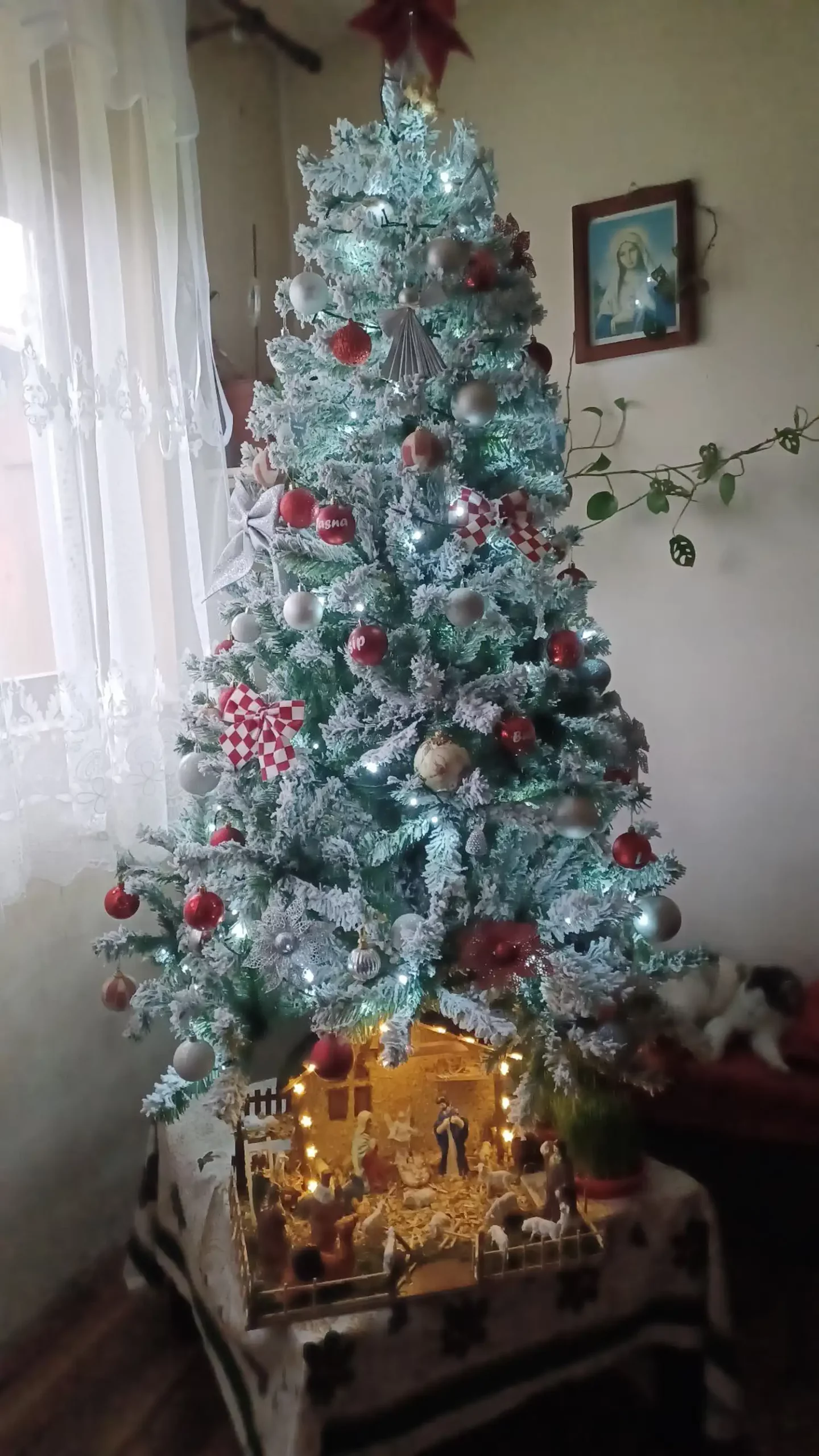 Božićna drvca i jelke 2024 foto čitatelja (14)