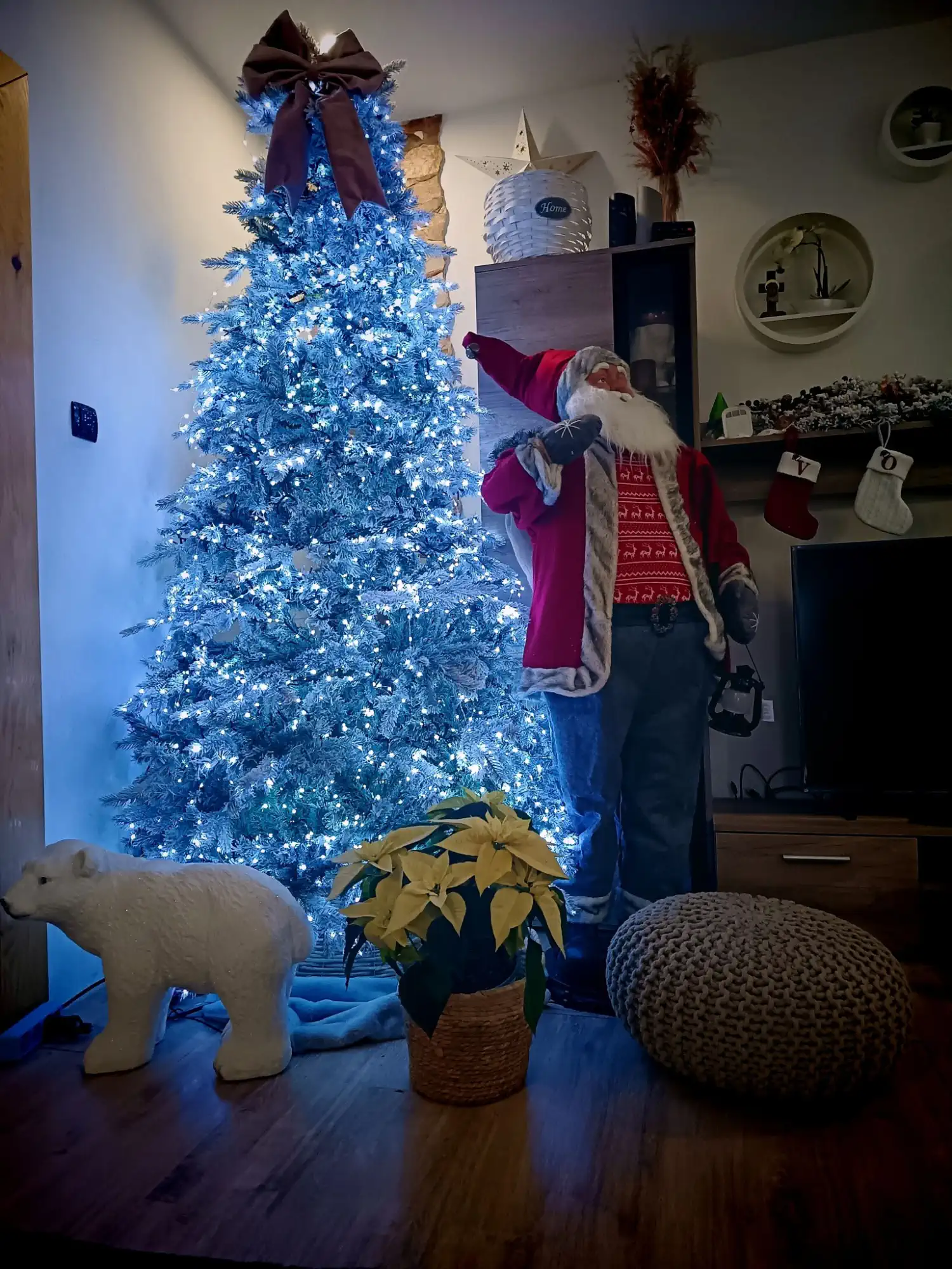 Božićna drvca i jelke 2024 foto čitatelja (15)