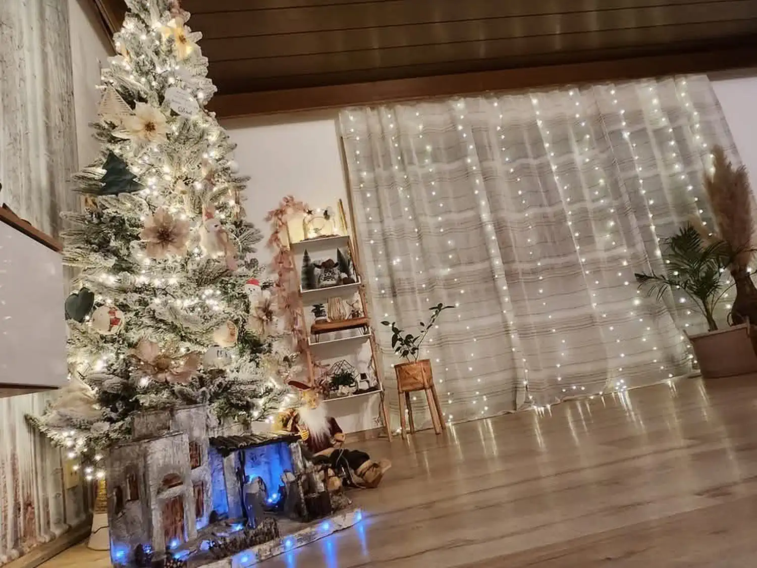 Božićna drvca i jelke 2024 foto čitatelja (16)