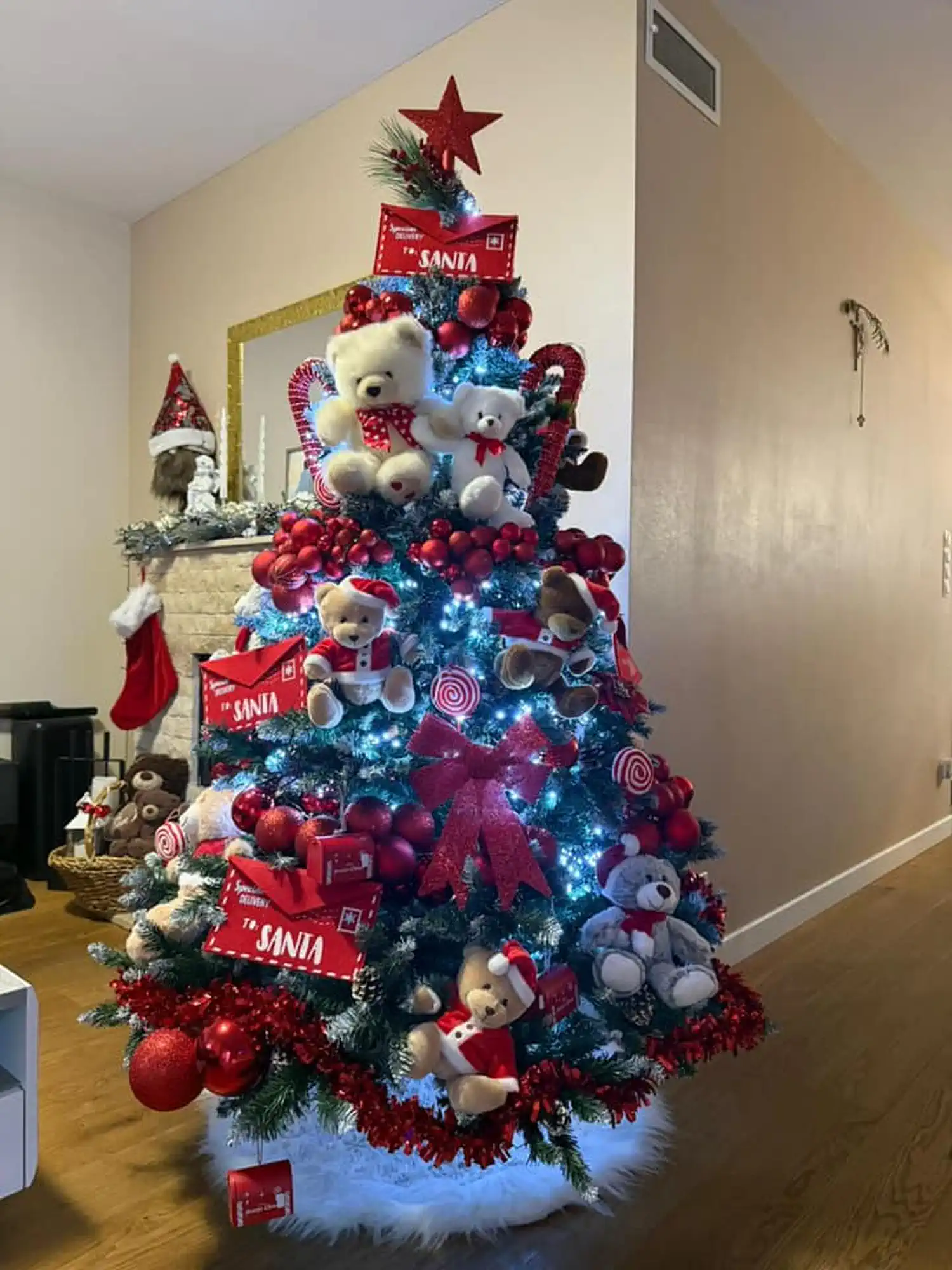 Božićna drvca i jelke 2024 foto čitatelja (17)