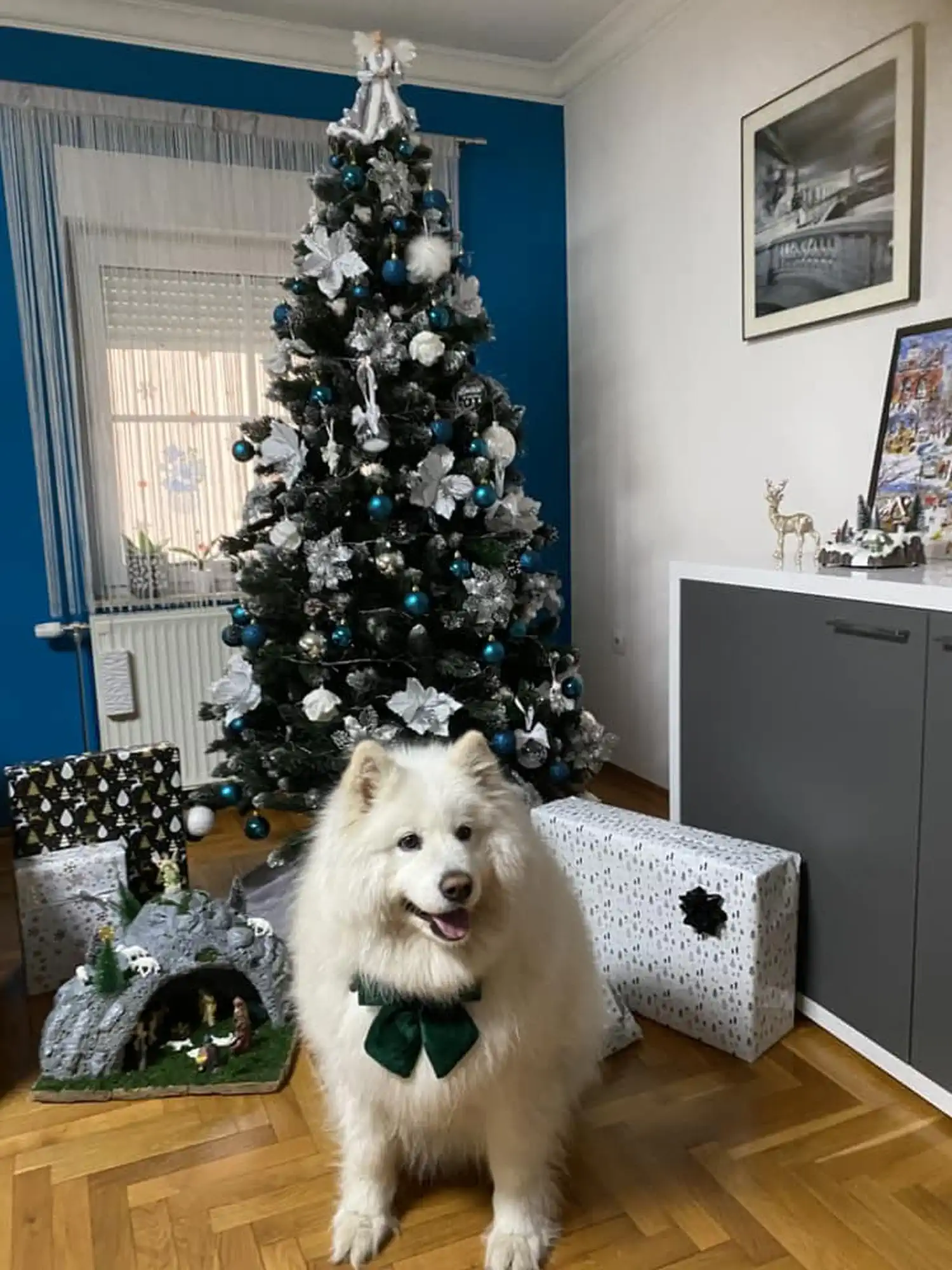 Božićna drvca i jelke 2024 foto čitatelja (2)