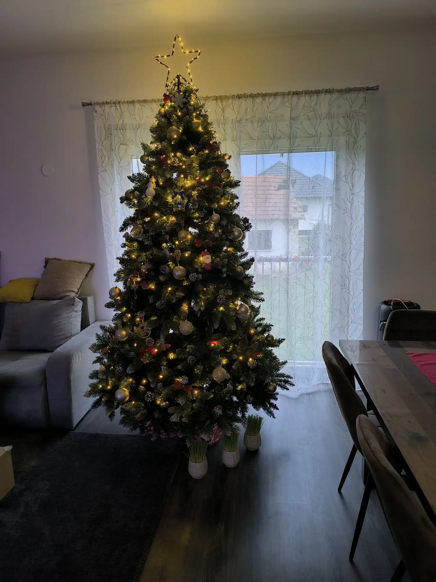 Božićna drvca i jelke 2024 foto čitatelja (20)